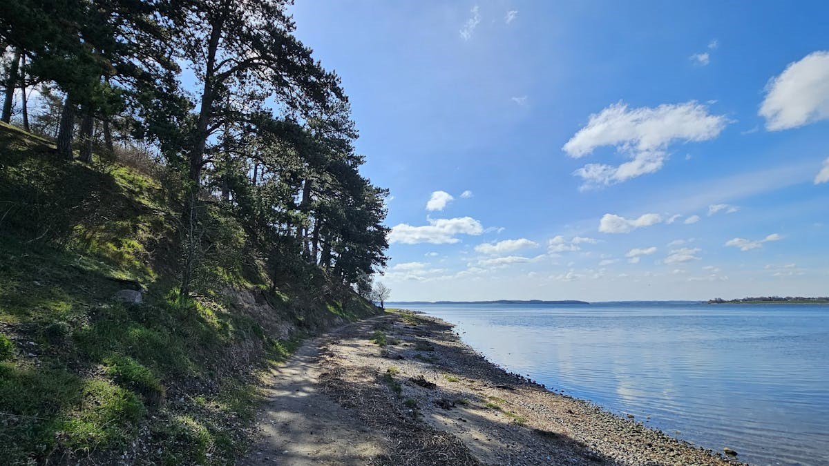 Selsø - Skjoldungernes Land