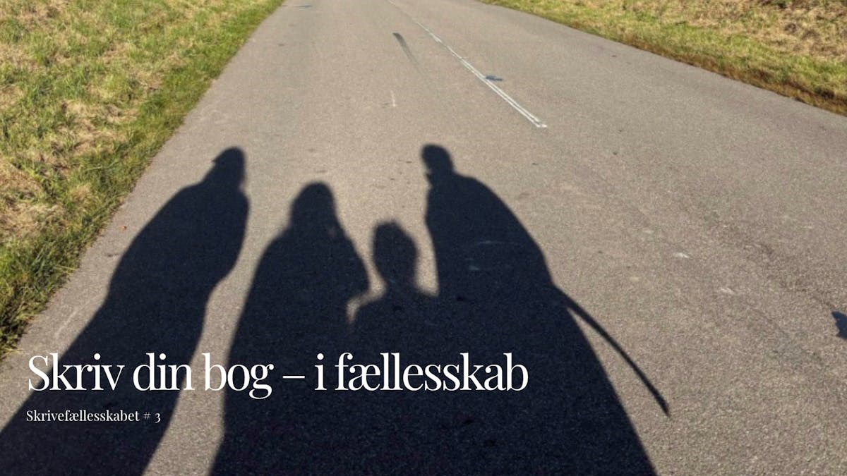 Skrivefællesskabet #3