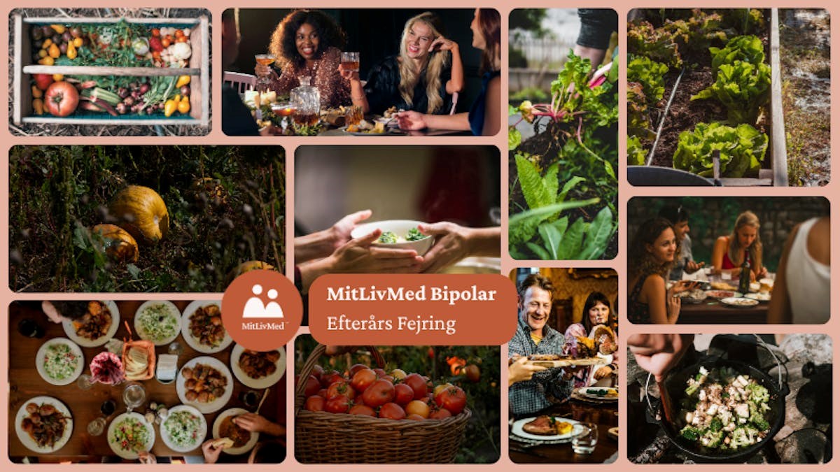 Bipolar Efterårs Fejring - Glud