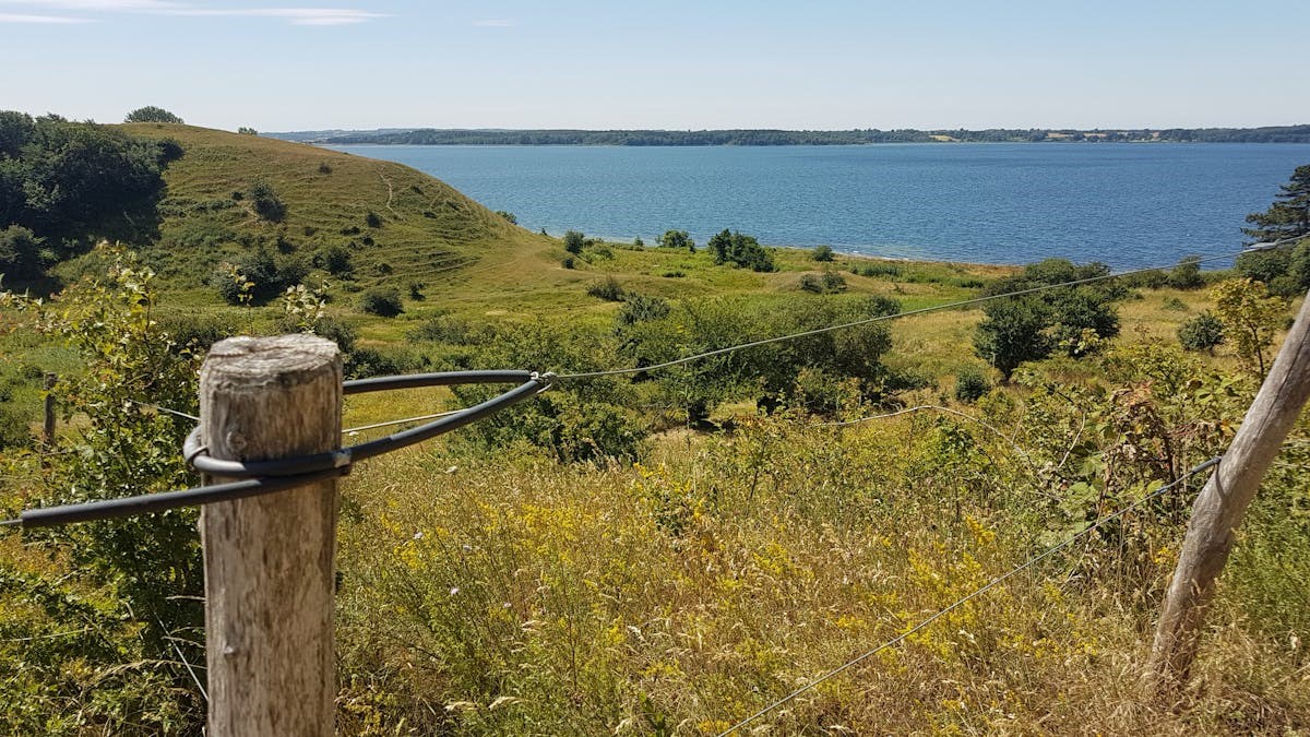 Fredagsvandring: Ejby Ådal og Ryegaard Dyrhave, ca. 13 km