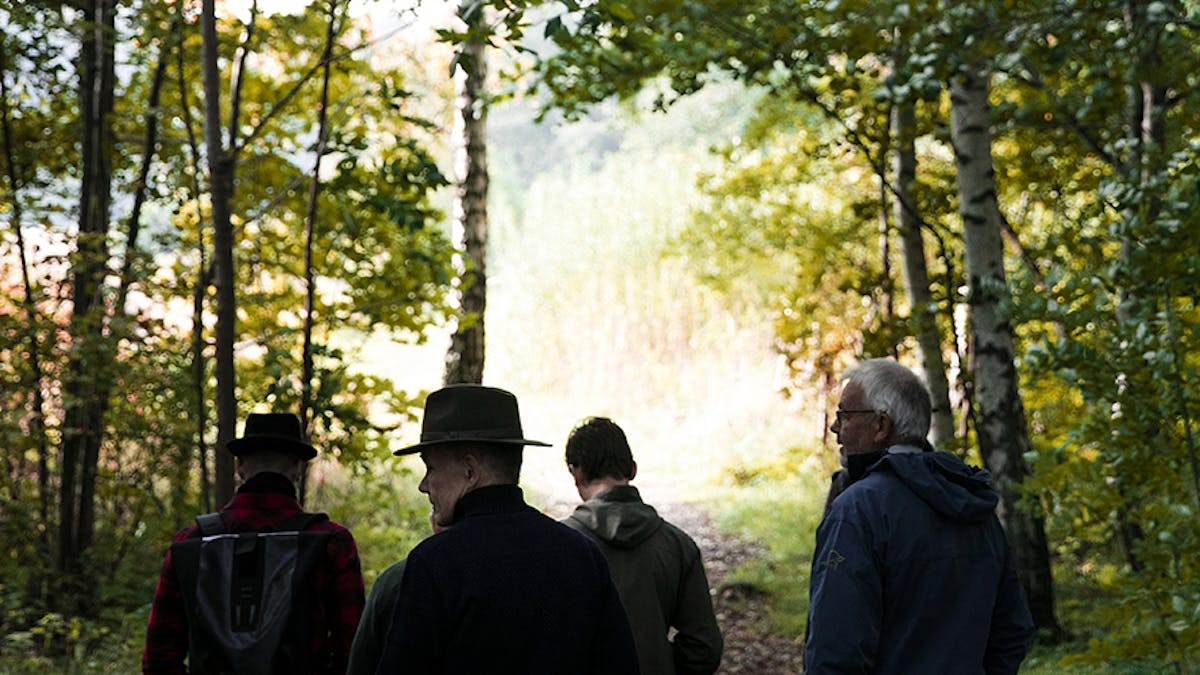 Guided pilgrimsvandring i Gribskov