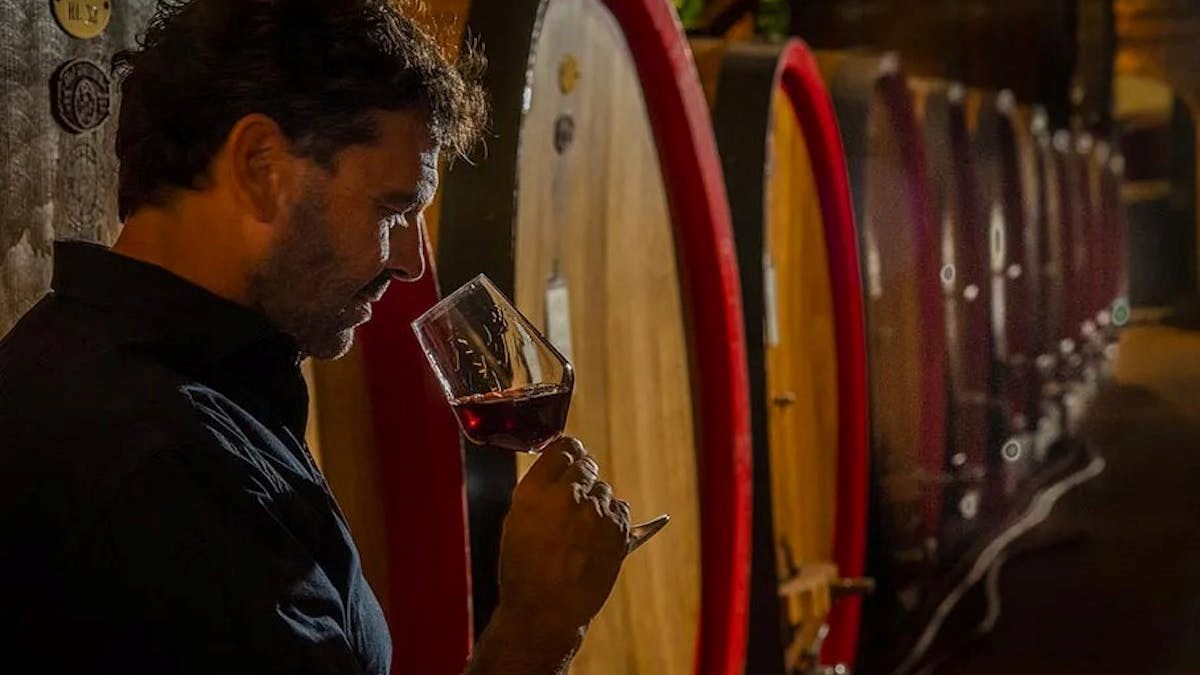 Barolo Vinsmagning