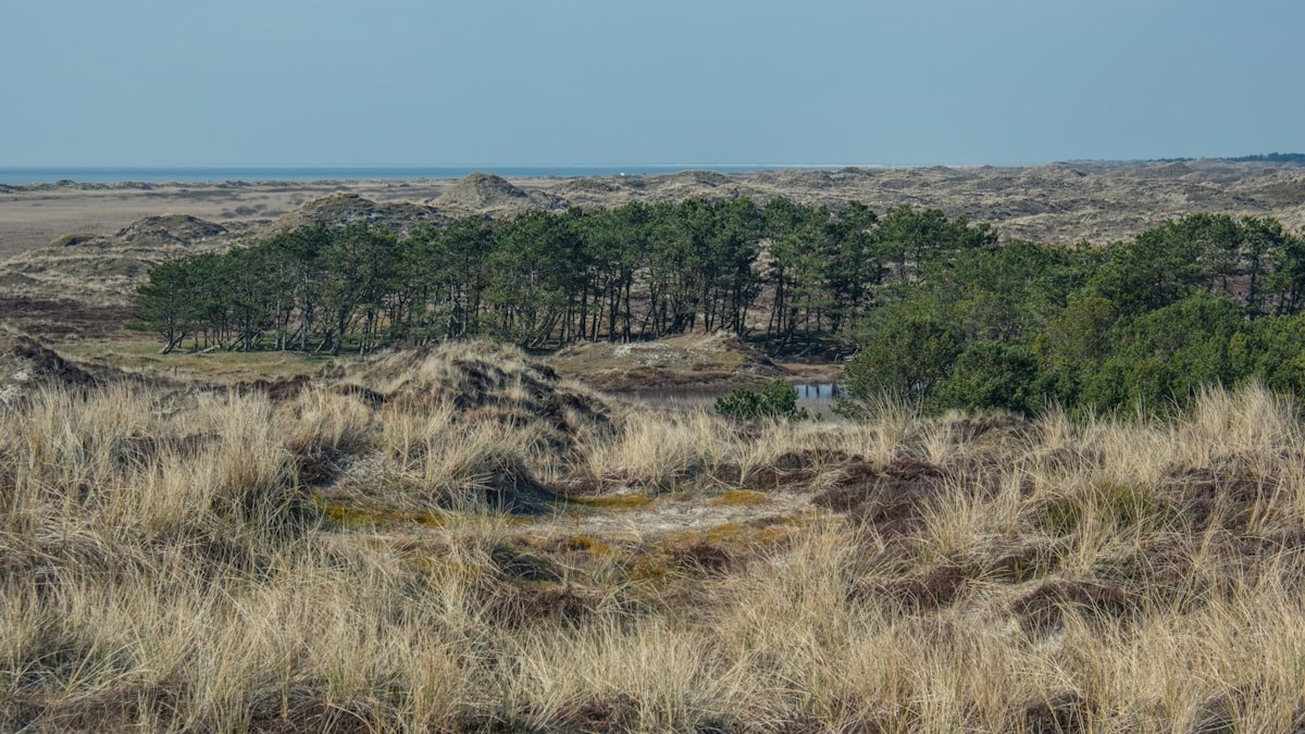 Ø-vandring på Fanø