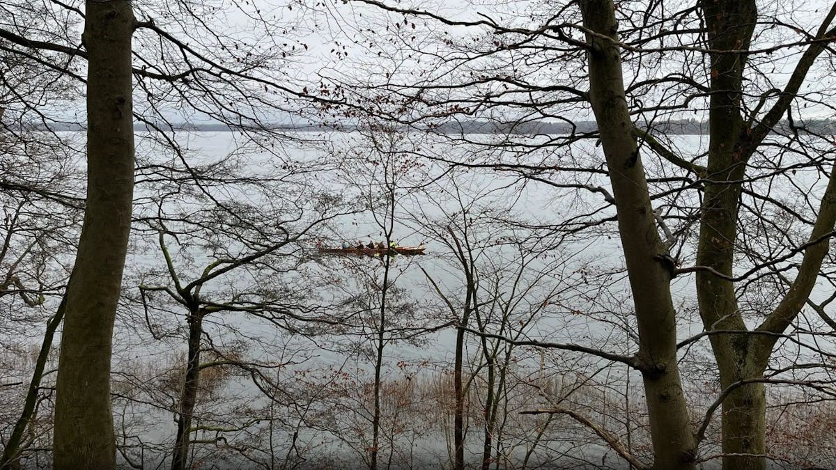 Vandretur i Hareskoven og Frederiksdal (11 km)