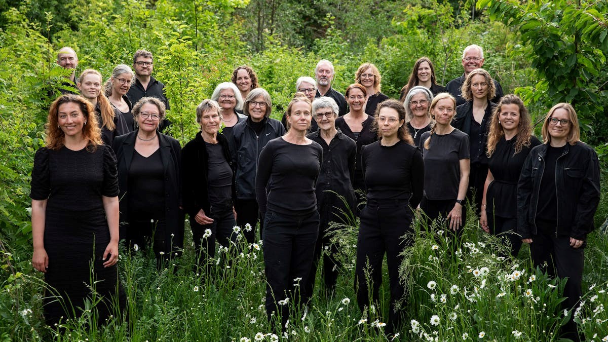 Naturkoncert i Naturpark Amager