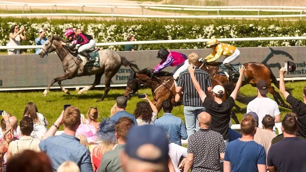 Klampenborg Horse Race & Wine: The "Royal Ascot" of Denmark!