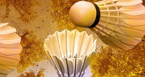 Årets badmintonfest "DGI festen"
