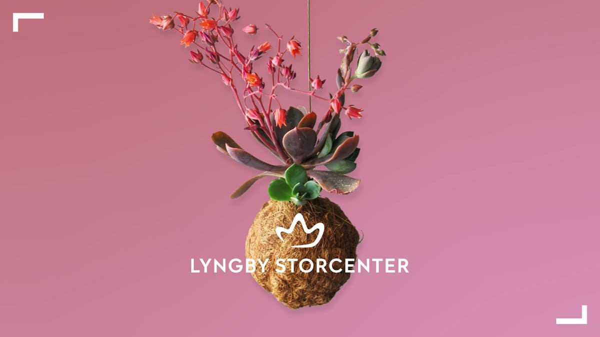 Lav dine egne planteplaneter