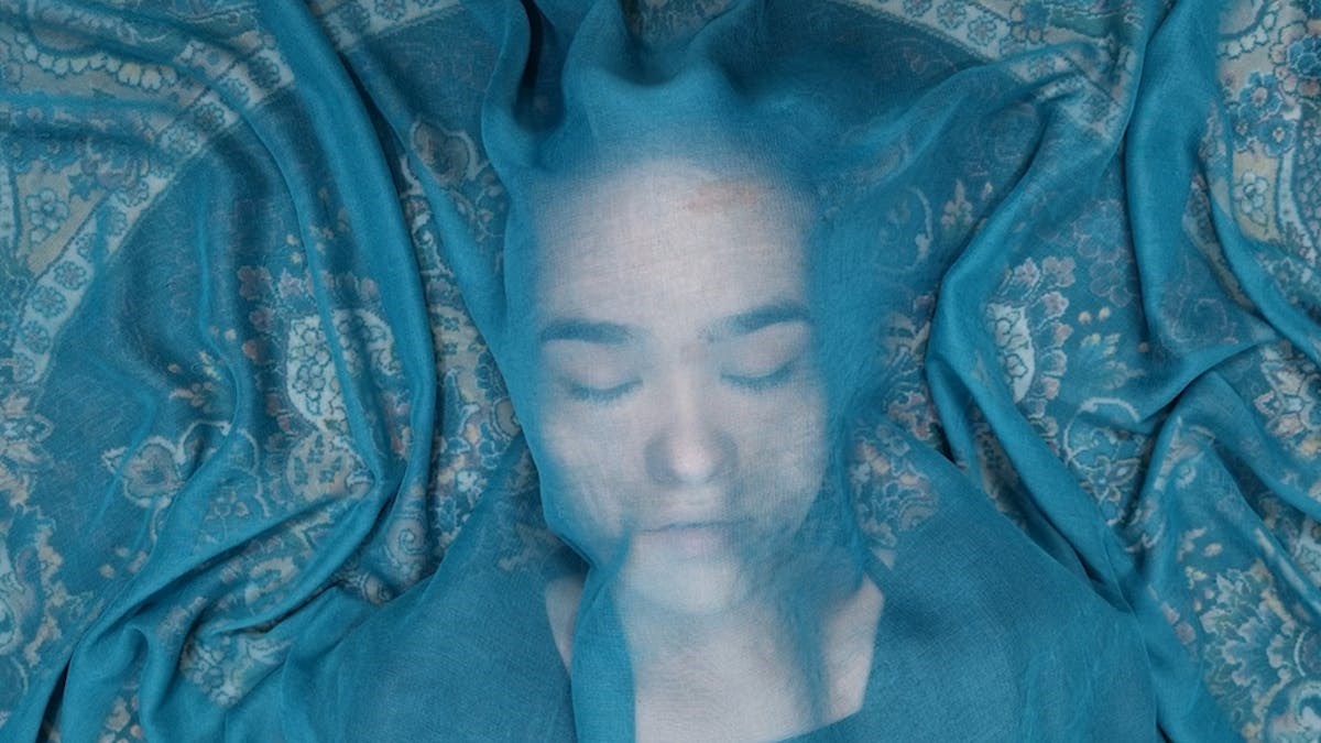 Faxe Dox - film: A Fox Under The Pink Moon