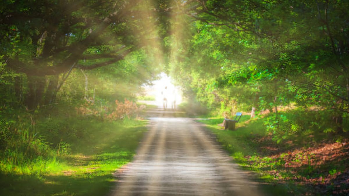 Ultra Intim Arrangement Roskilde ( Budskaber Til Alle)