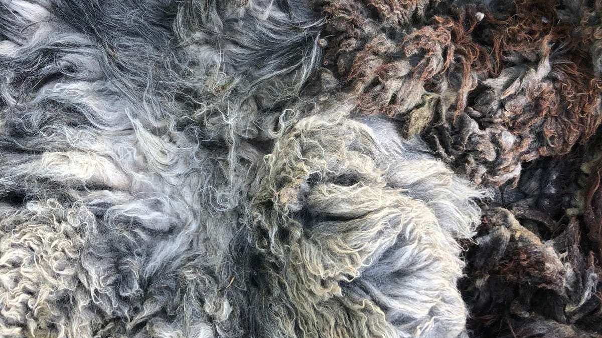 Naturens Håndværk: Uldfilt en sædehynde