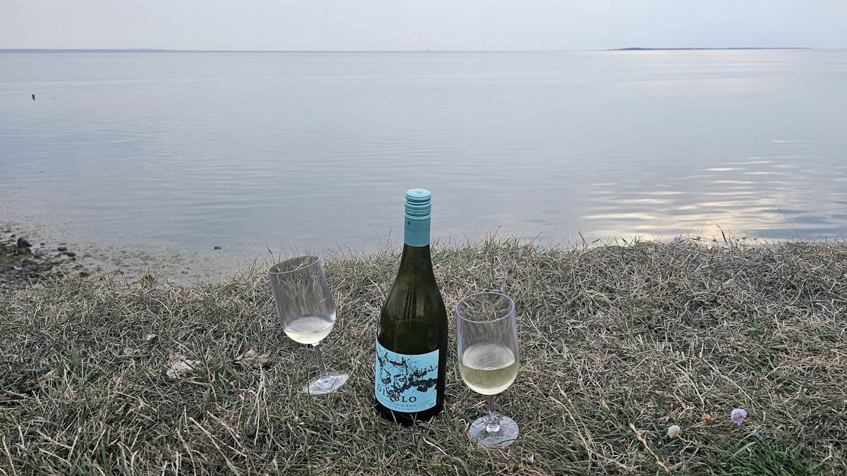 Vin, Vandring og solformørkelse, Ordrup Næs, 8 km