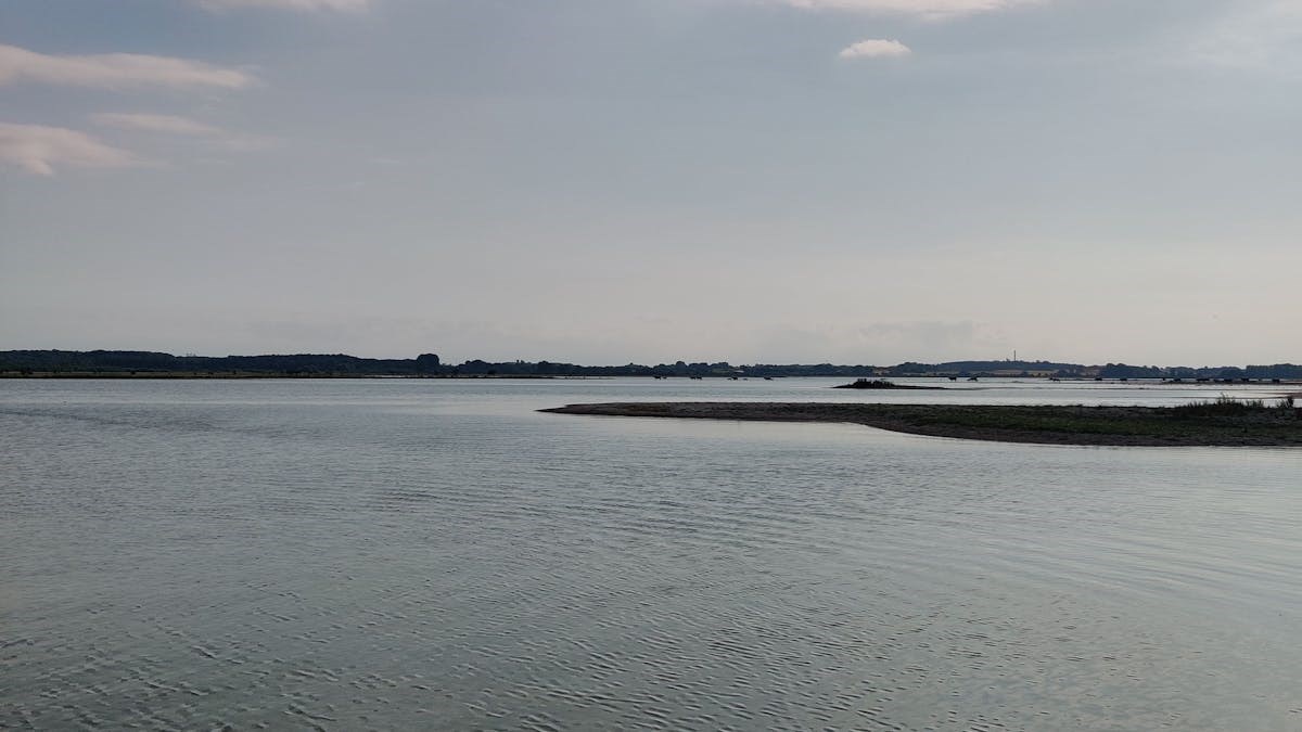 Guidet tur Saltbæk Vig