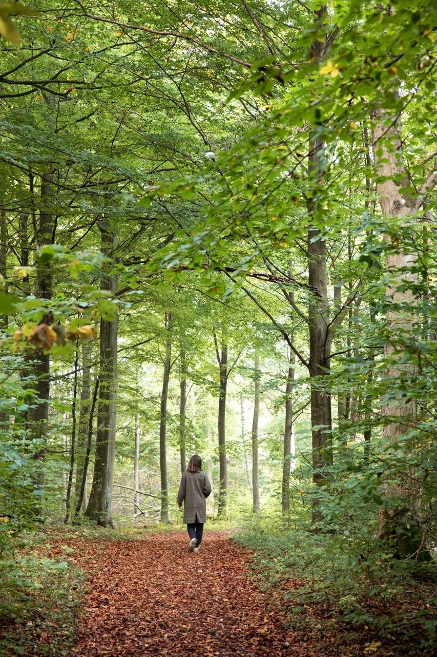 Fælles vandretur på Nordkyststien