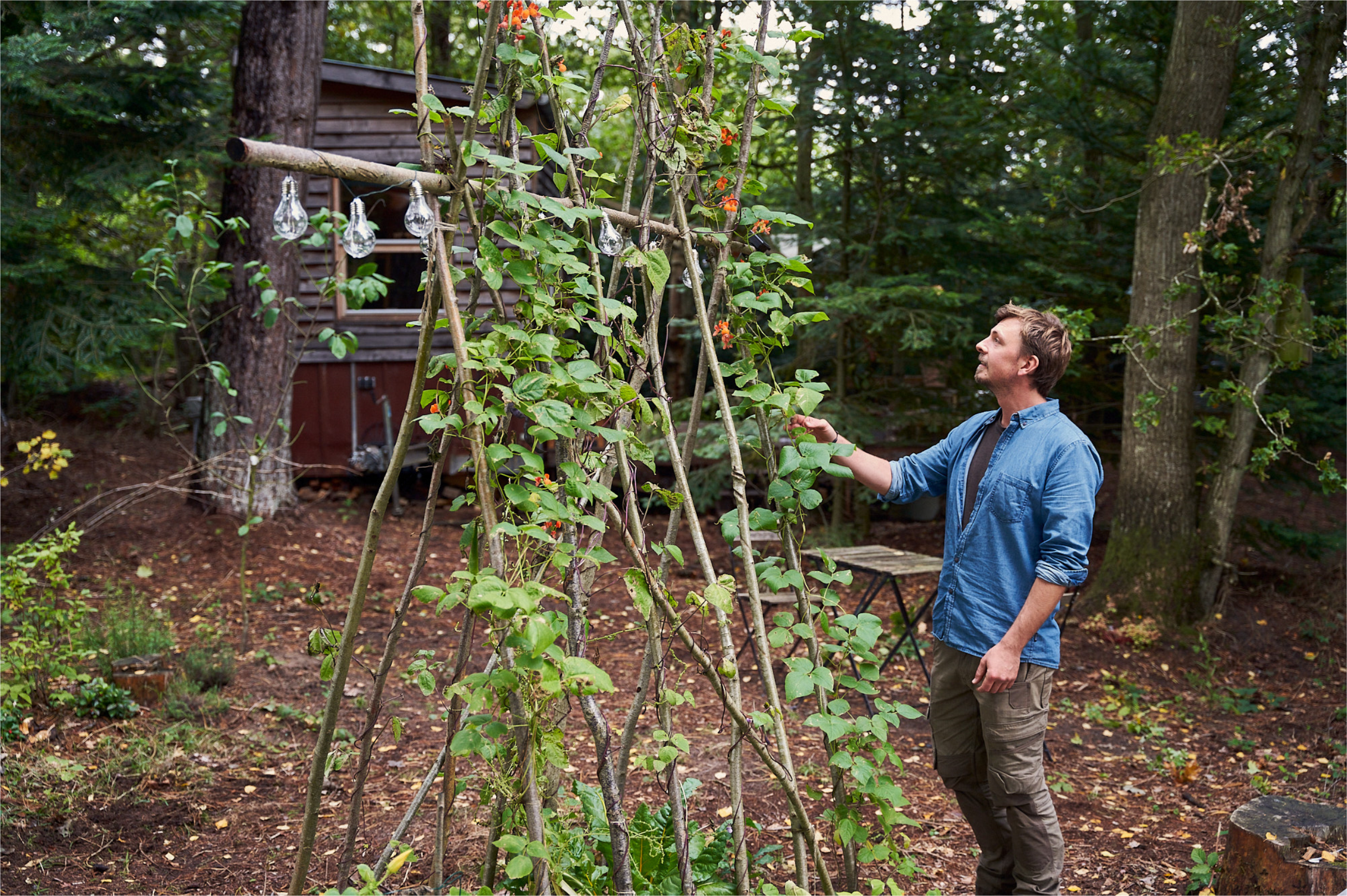 Anders Boisen: Bo småt, lev godt