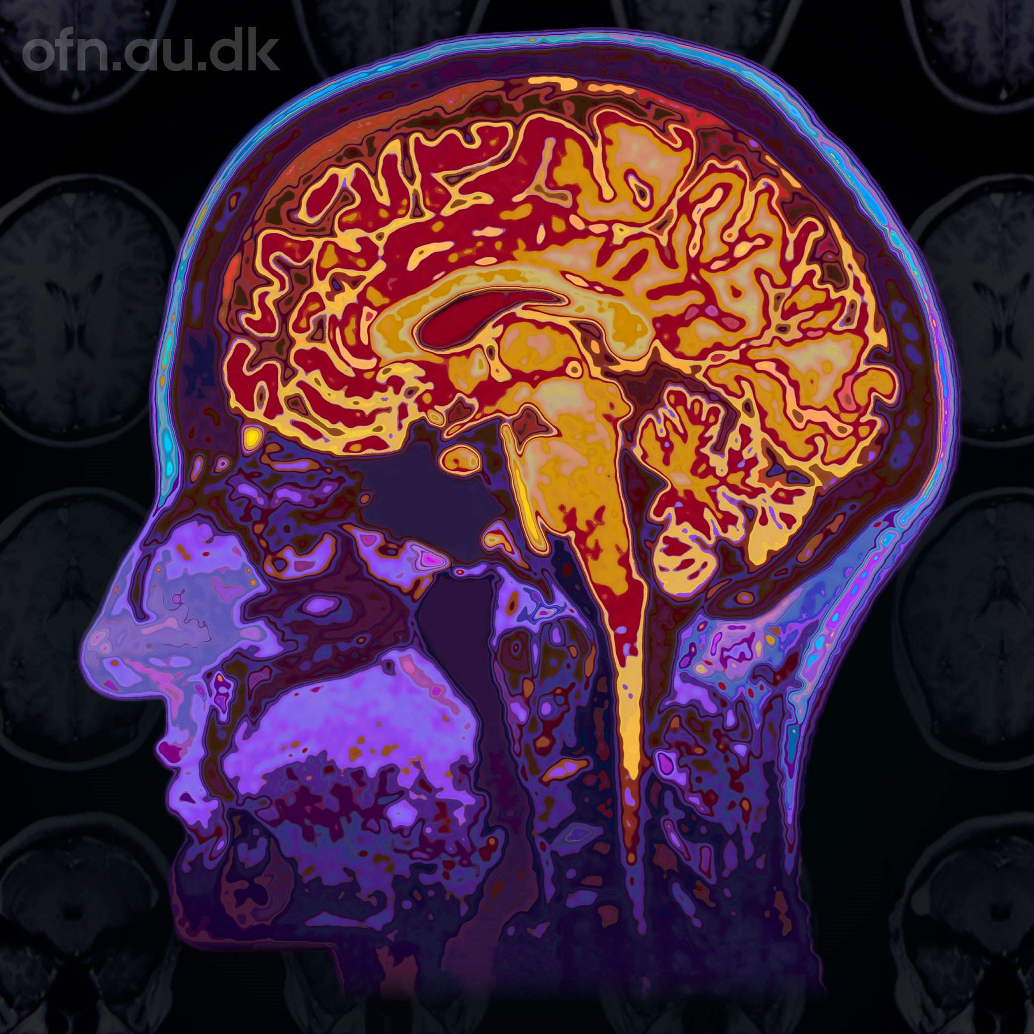 Den meningsfulde hjerne (via livestream fra Aarhus Universitet)