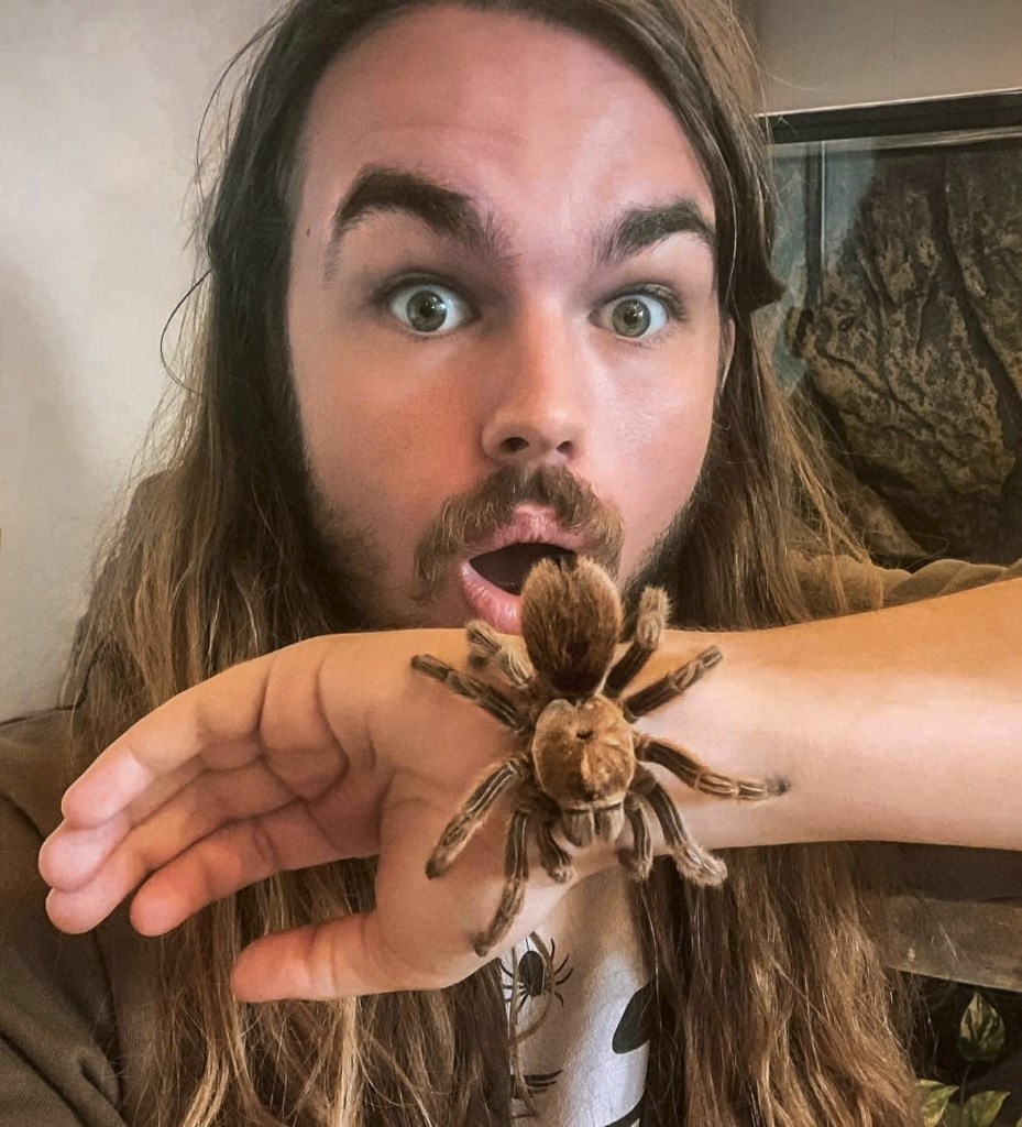 Kryb & kravl med Arternes Verden