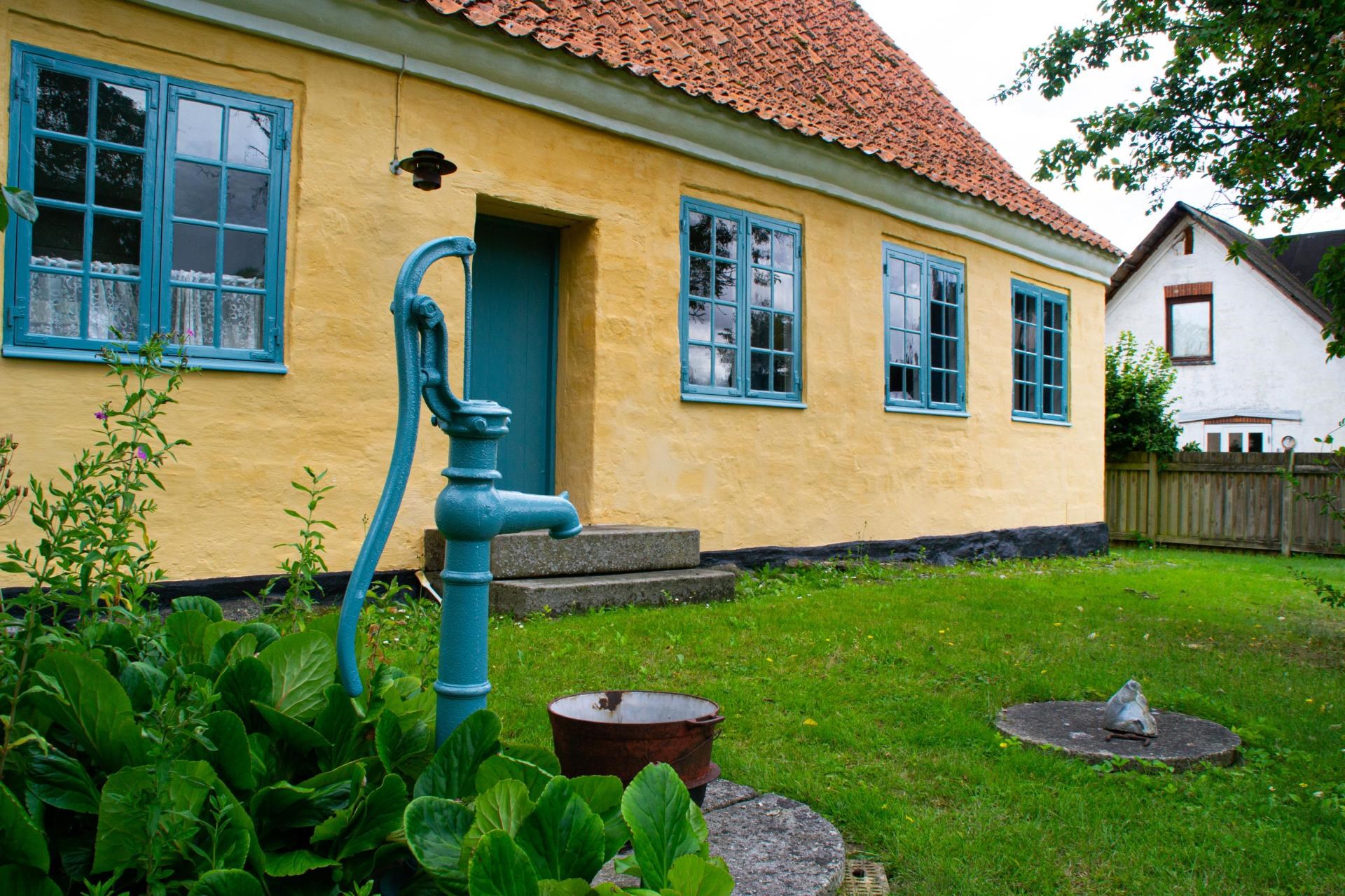 Åbent hus på rytterskolen i sommerferien