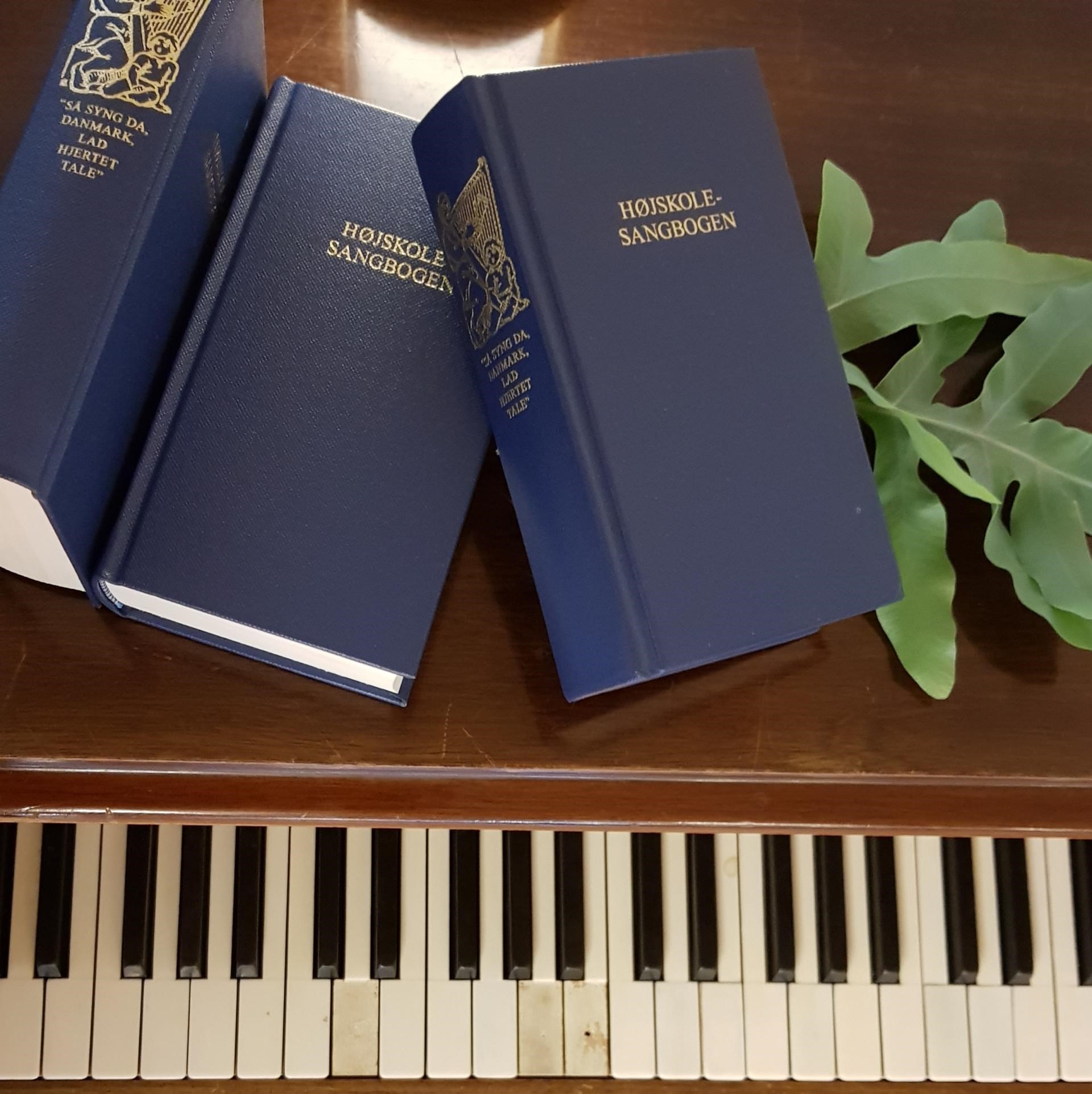 Fællessang i Hinnerup