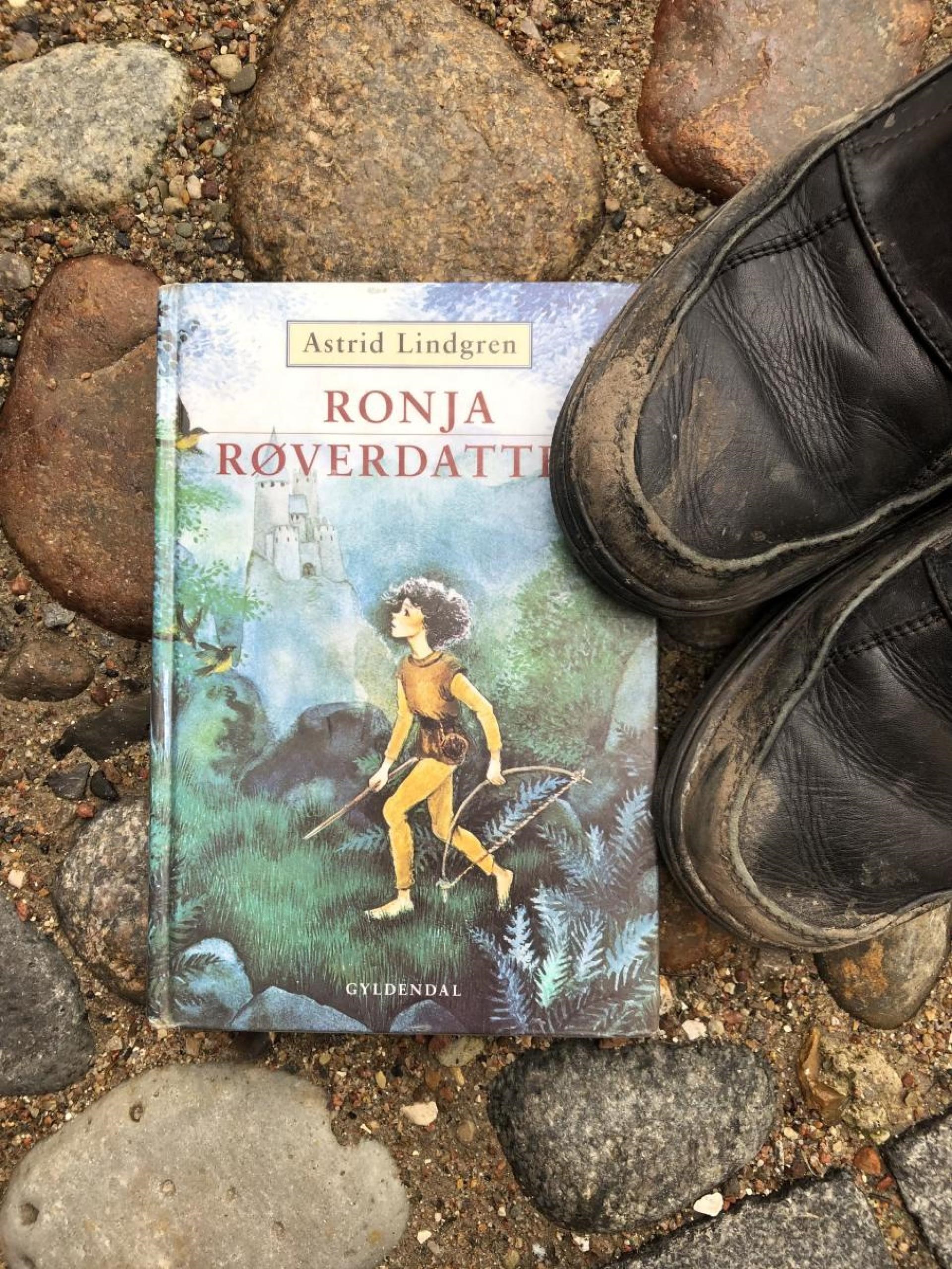 Ronja-udflugt i Sønderskoven