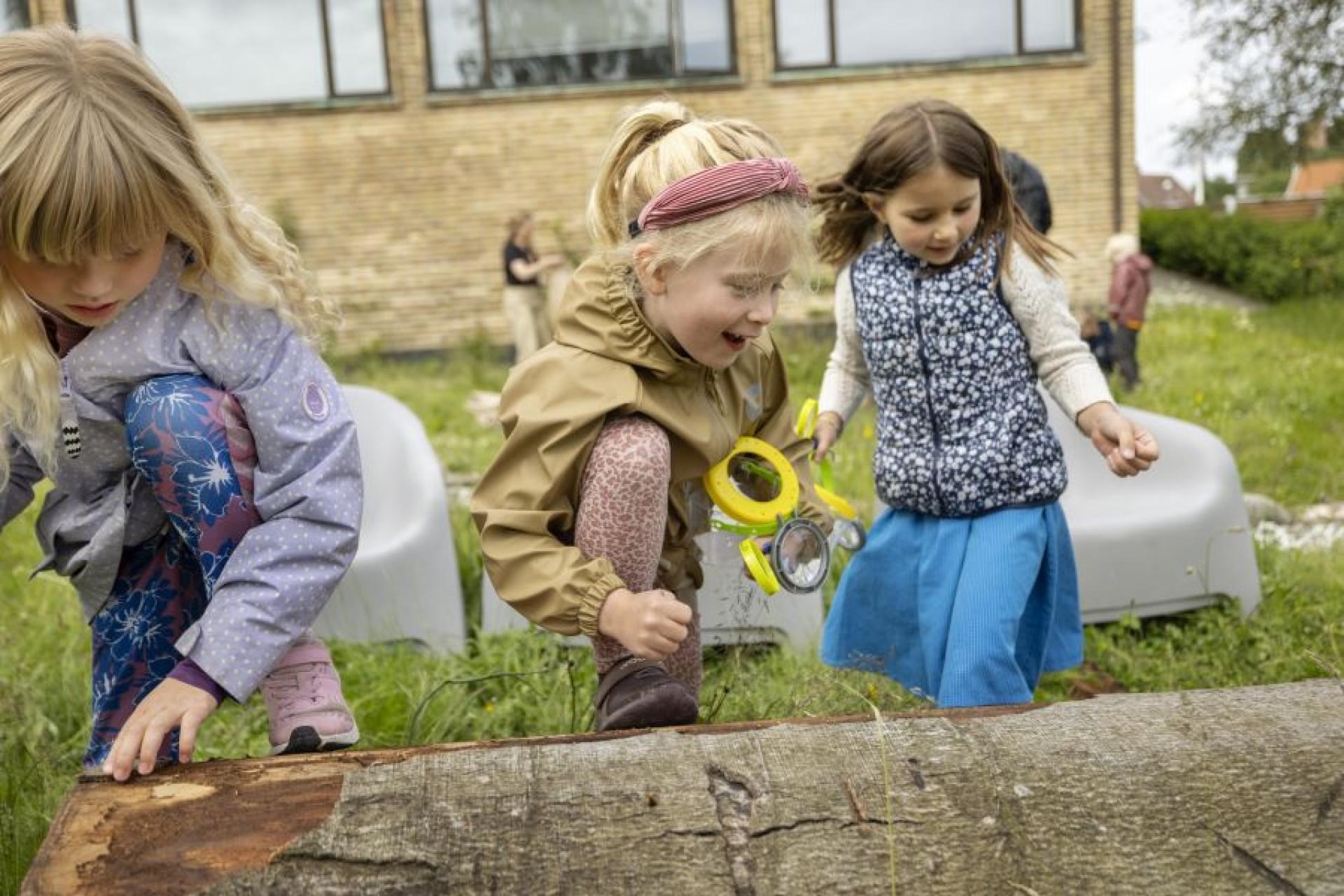 Bibliotekets naturbørn: Krible krable i Bibliotekshaven
