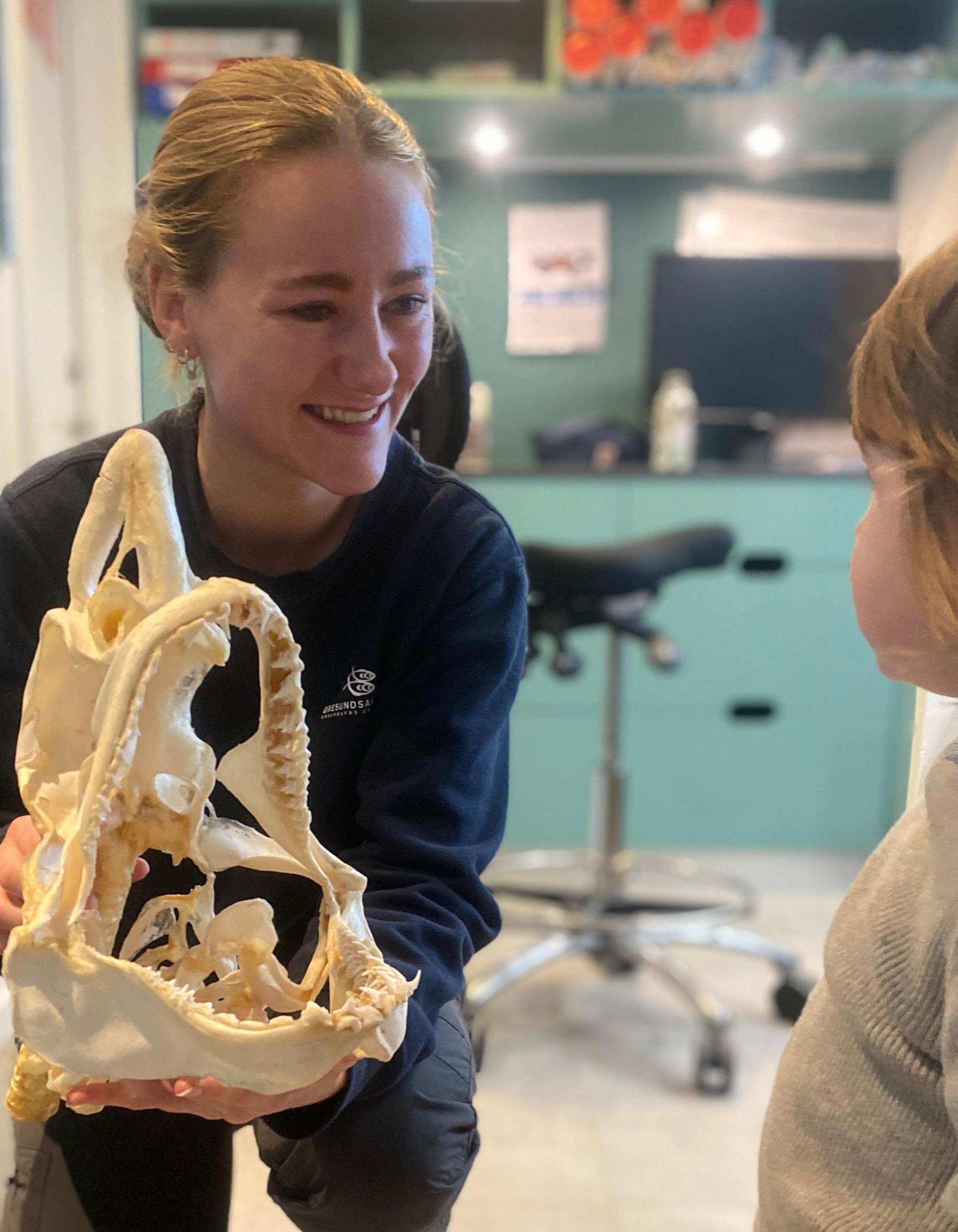 Dyk ned I havets hemmeligheder - med Øresundsakvariet