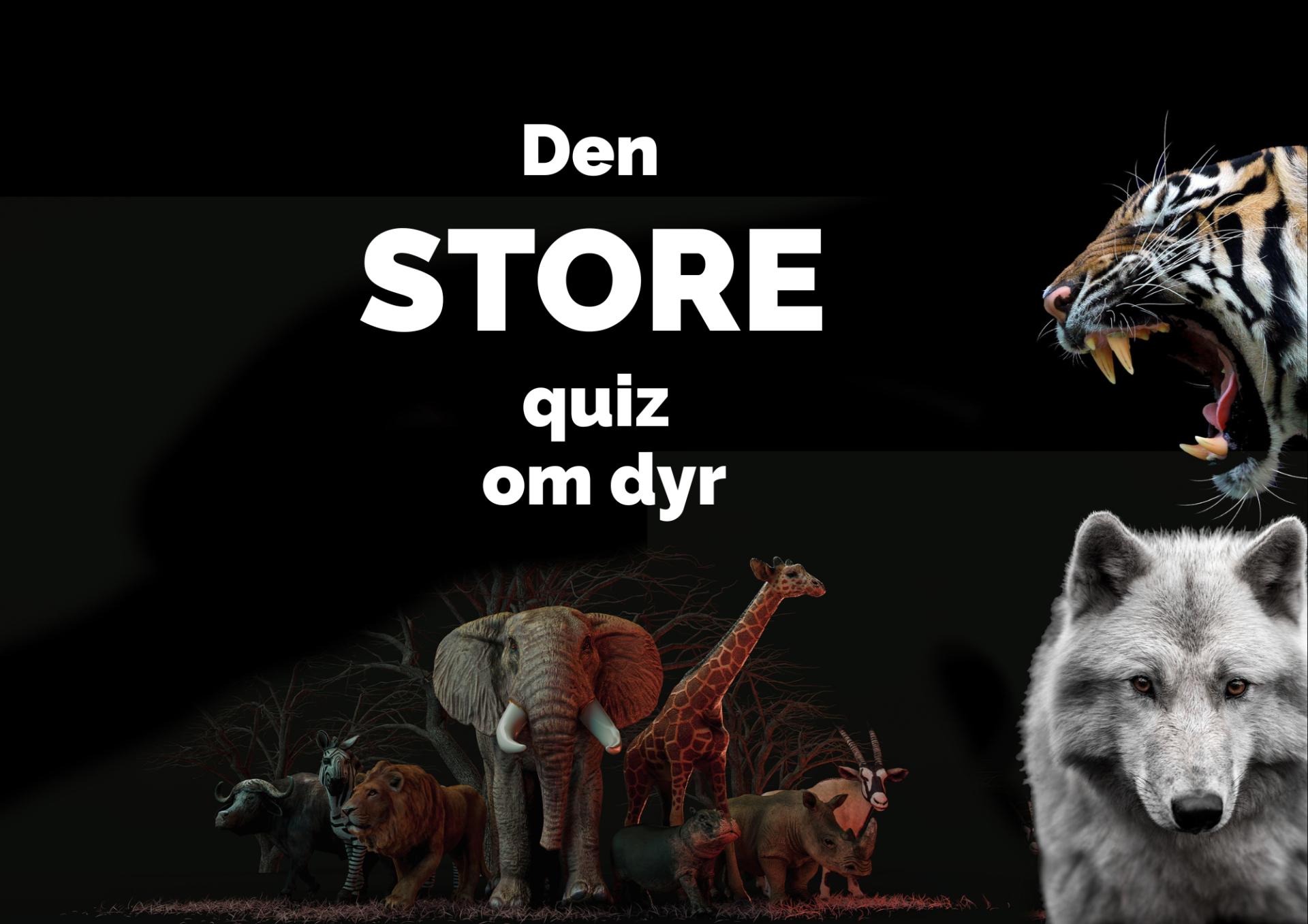 Familiequiz: Den STORE quiz om dyr
