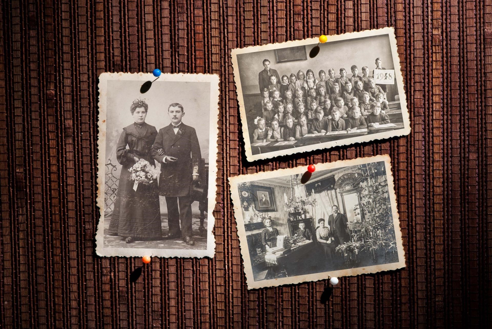 Introduktion til slægtsforskning