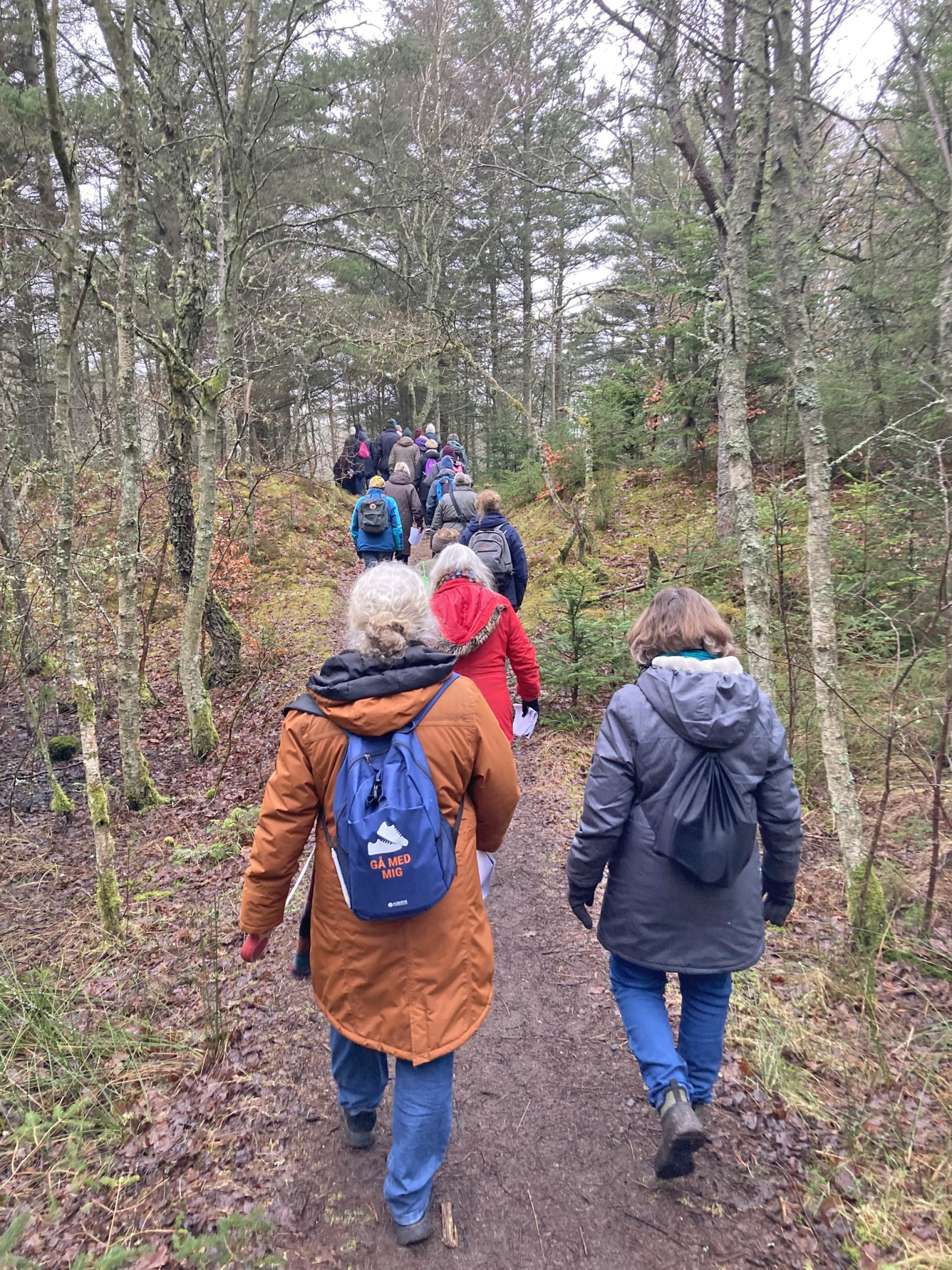 LitteraGÅtur i Tversted Klitplantage