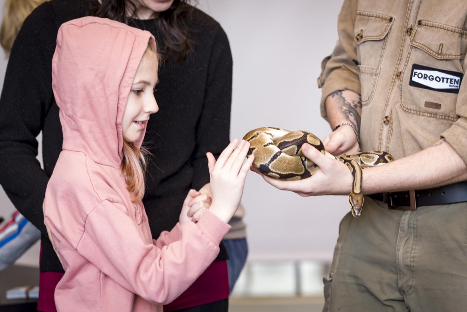 Kryb & Kravl show med Arternes Verden