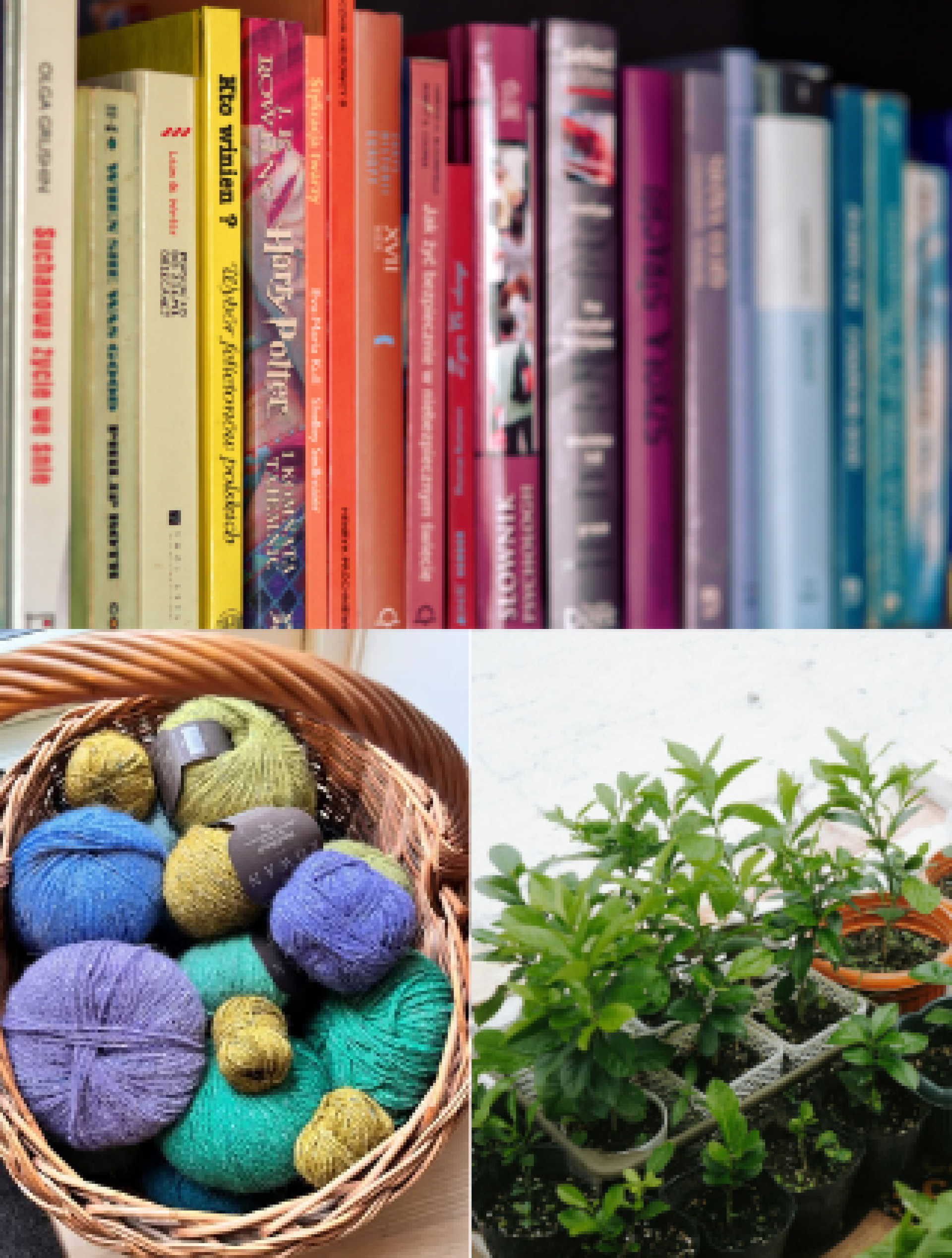 Bæredygtig byttedag