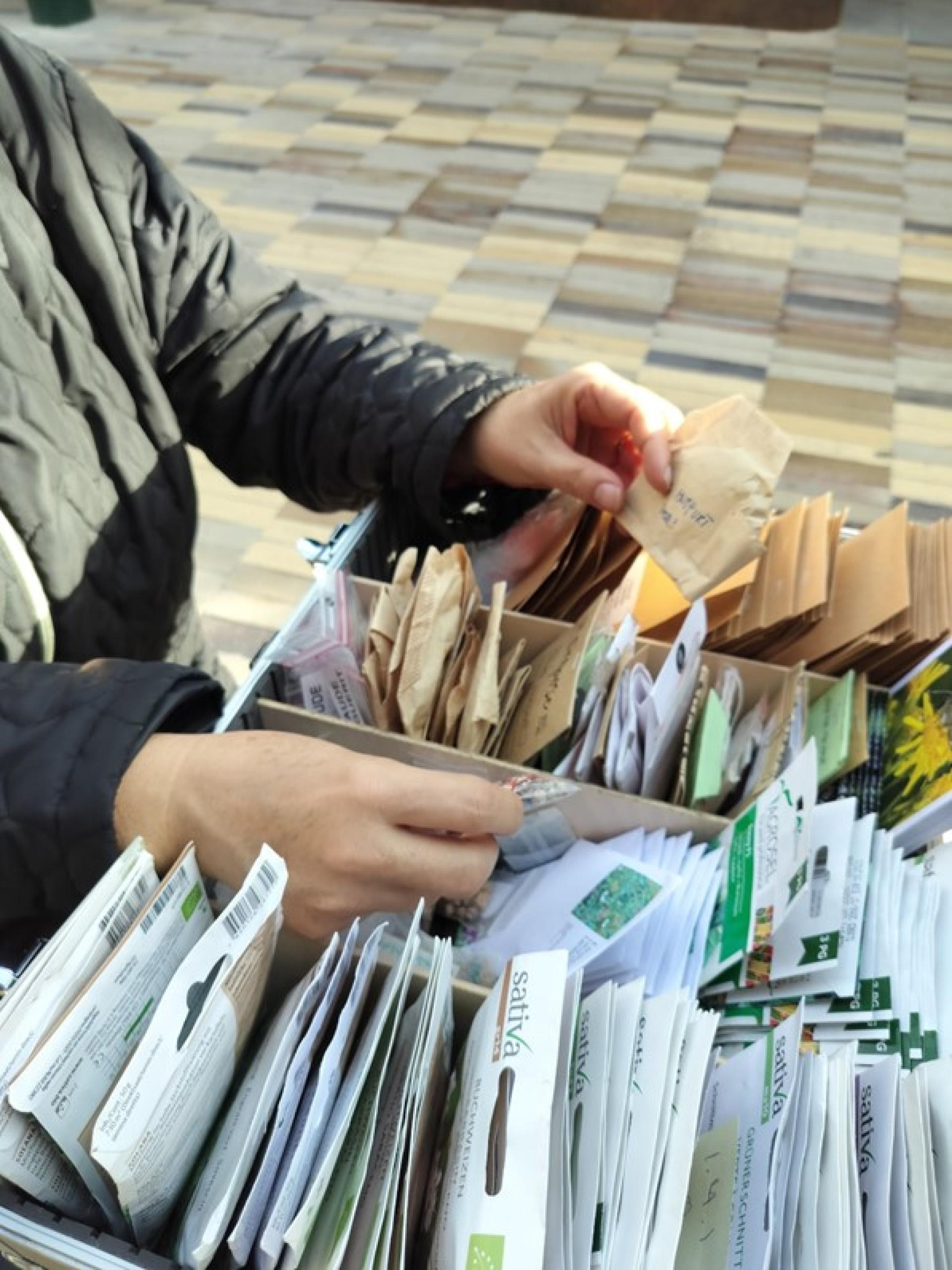 Bland selv-frø med Frønørden