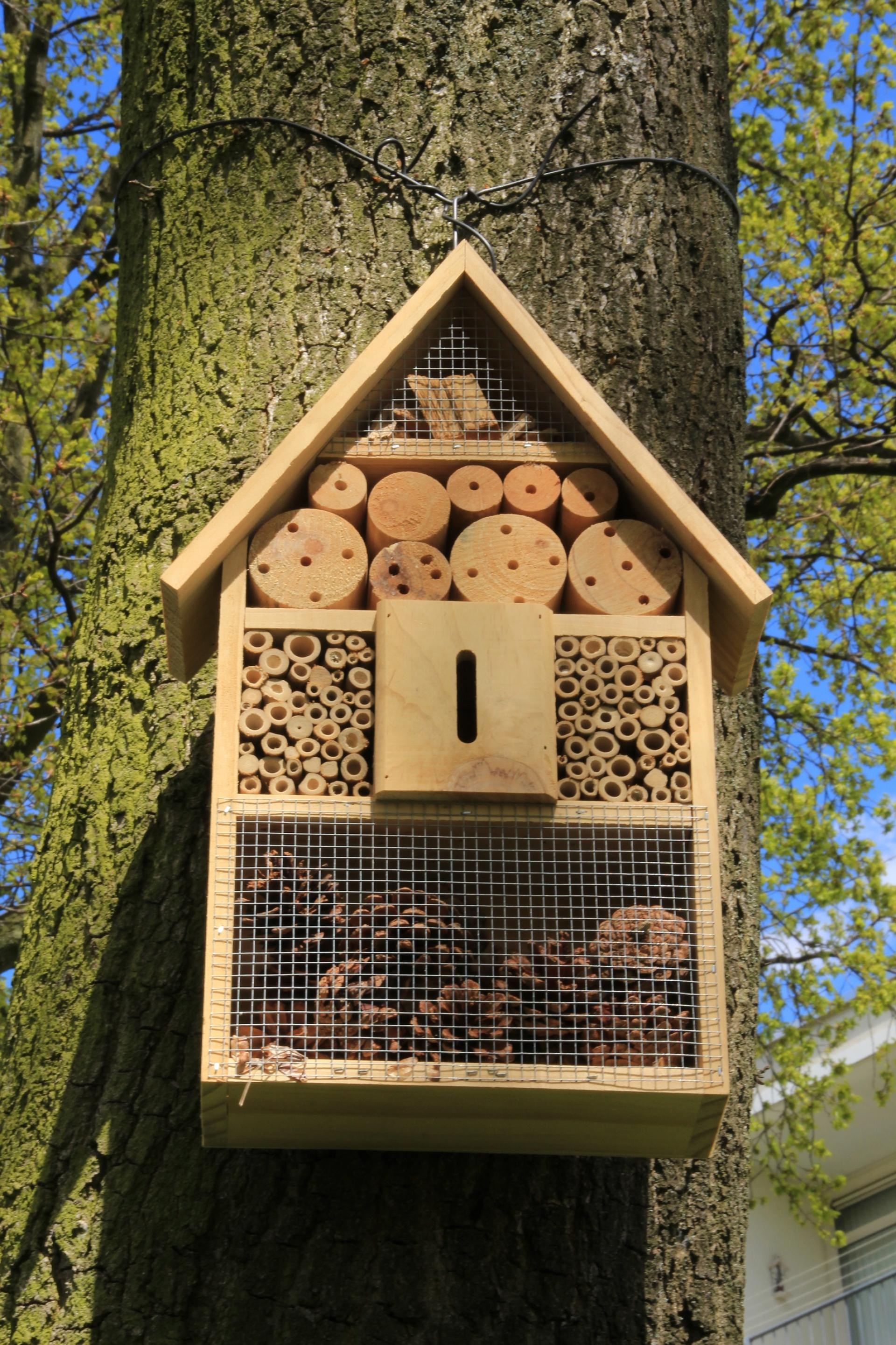 Byg et insekthotel til jeres have