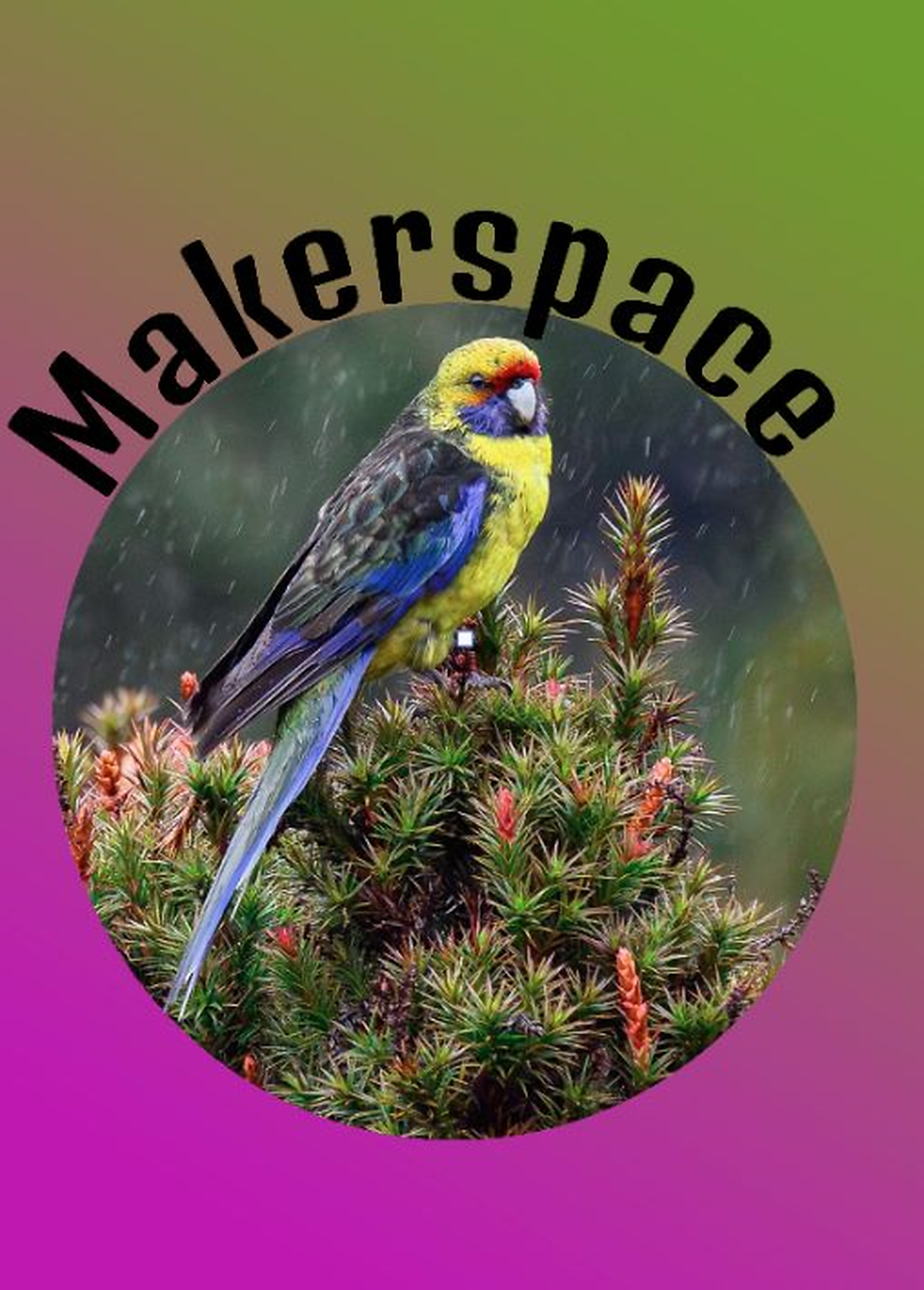 Makerspace: Kom til en aften med Photopea - dit gratis alternativ til Photoshop!