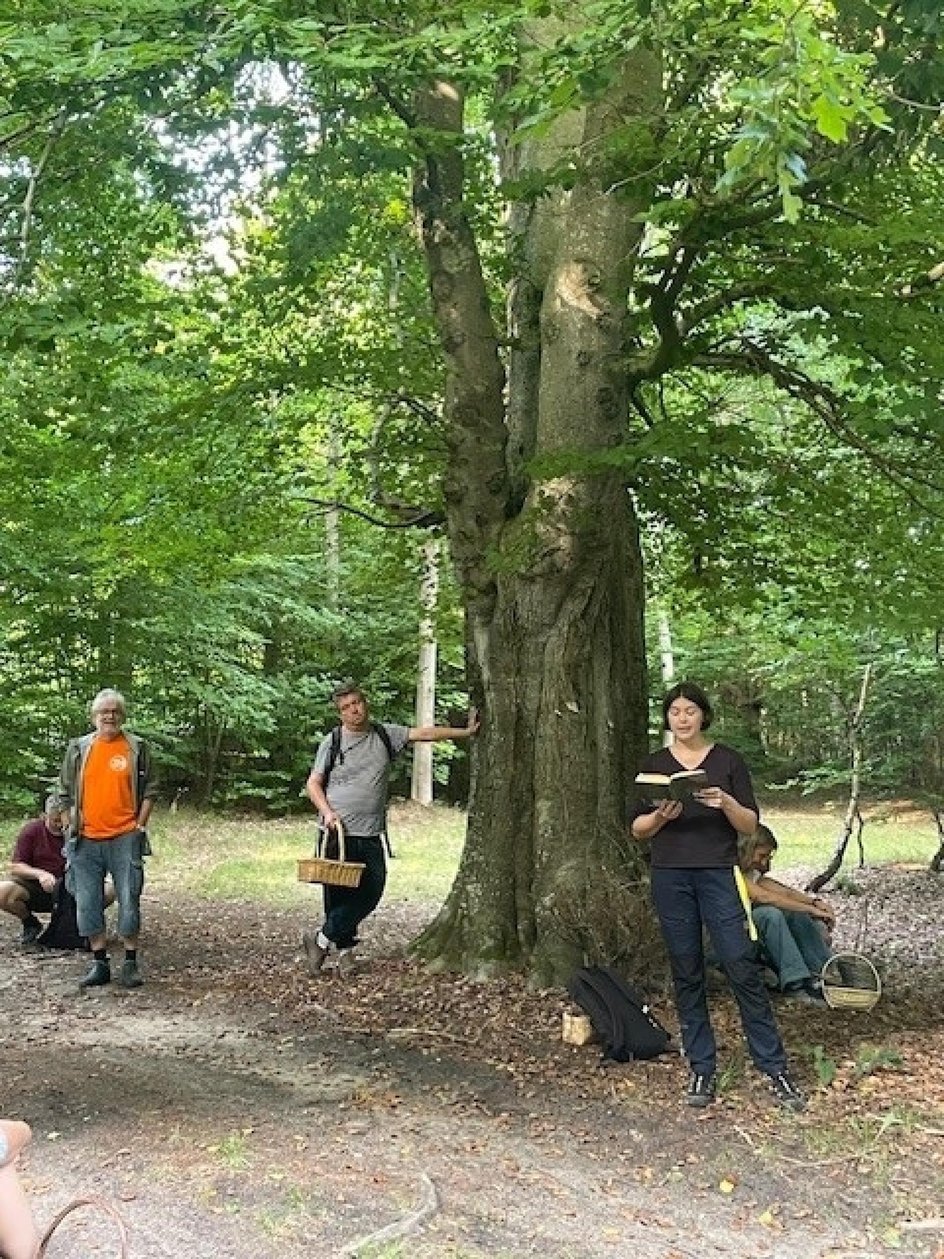 Litterær sommerfuglevandring