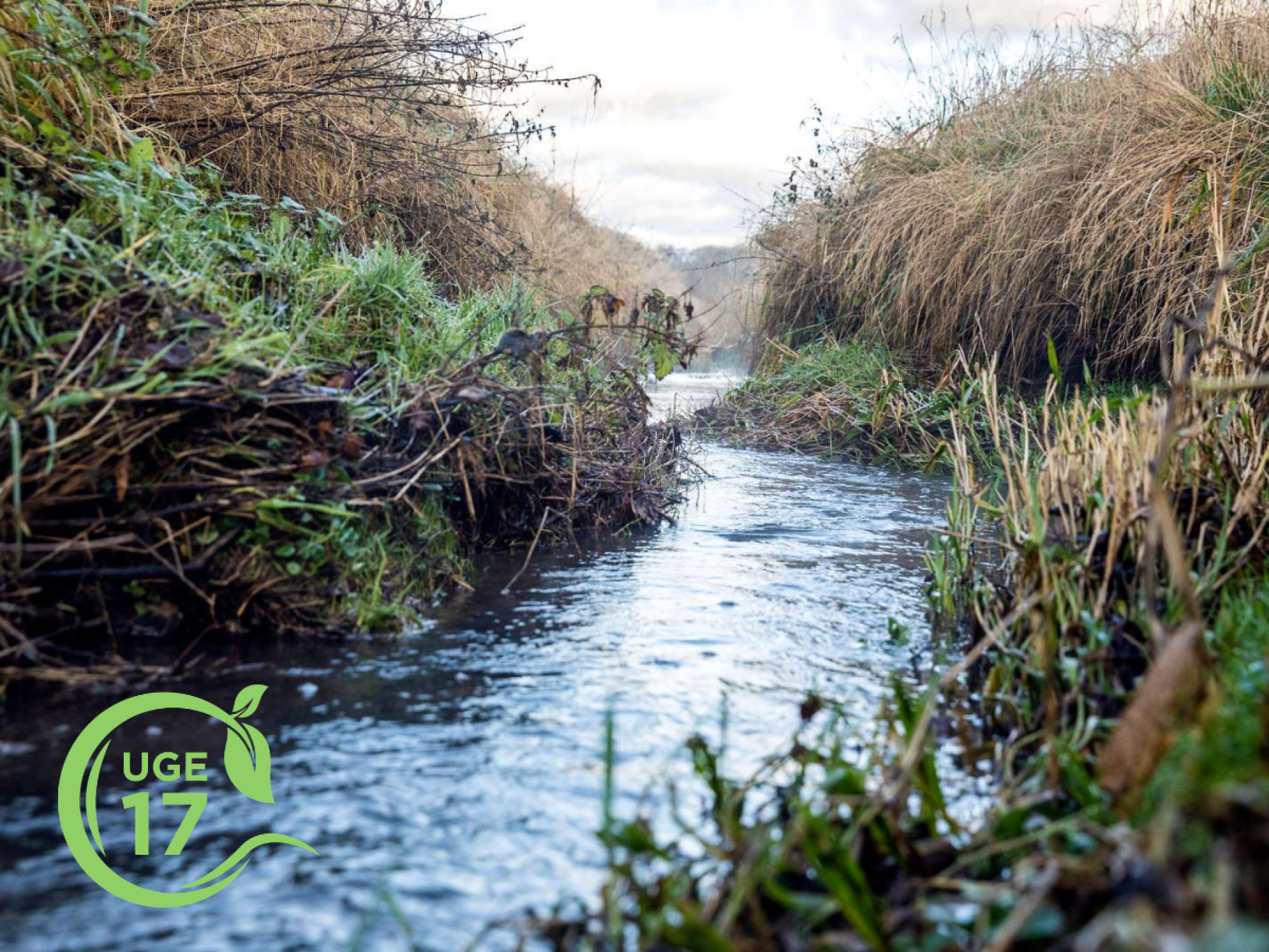 Gå tur ved Benkær vådområdeprojekt