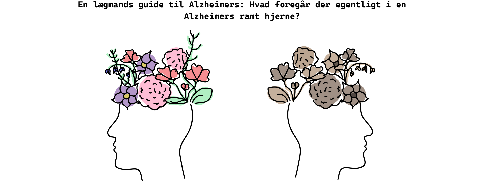 En lægmands guide til Alzheimers: Hvad foregår der egentlig i en Alzheimers ramt hjerne?