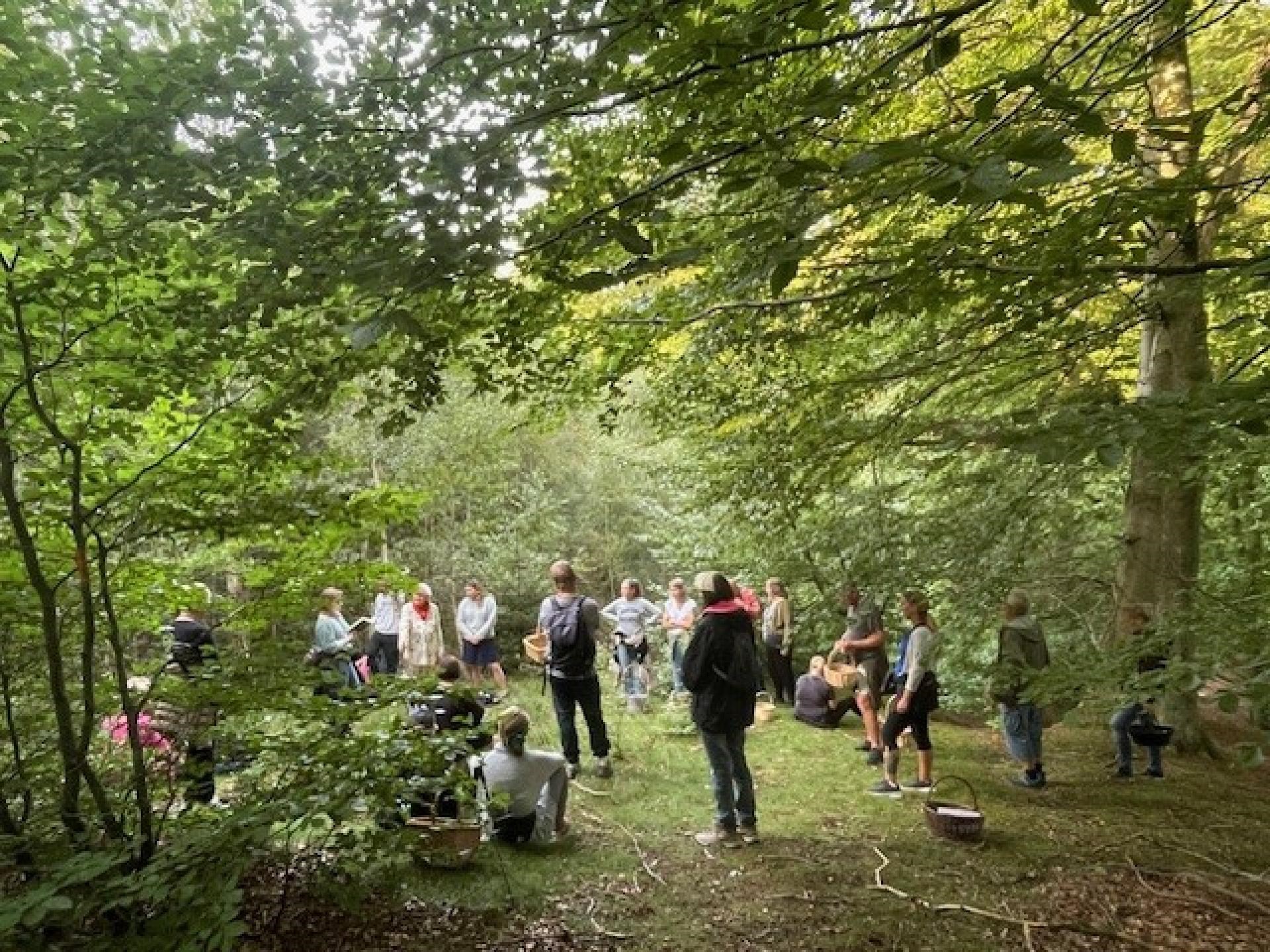 Fremtiden med Grøn Propaganda Kunst