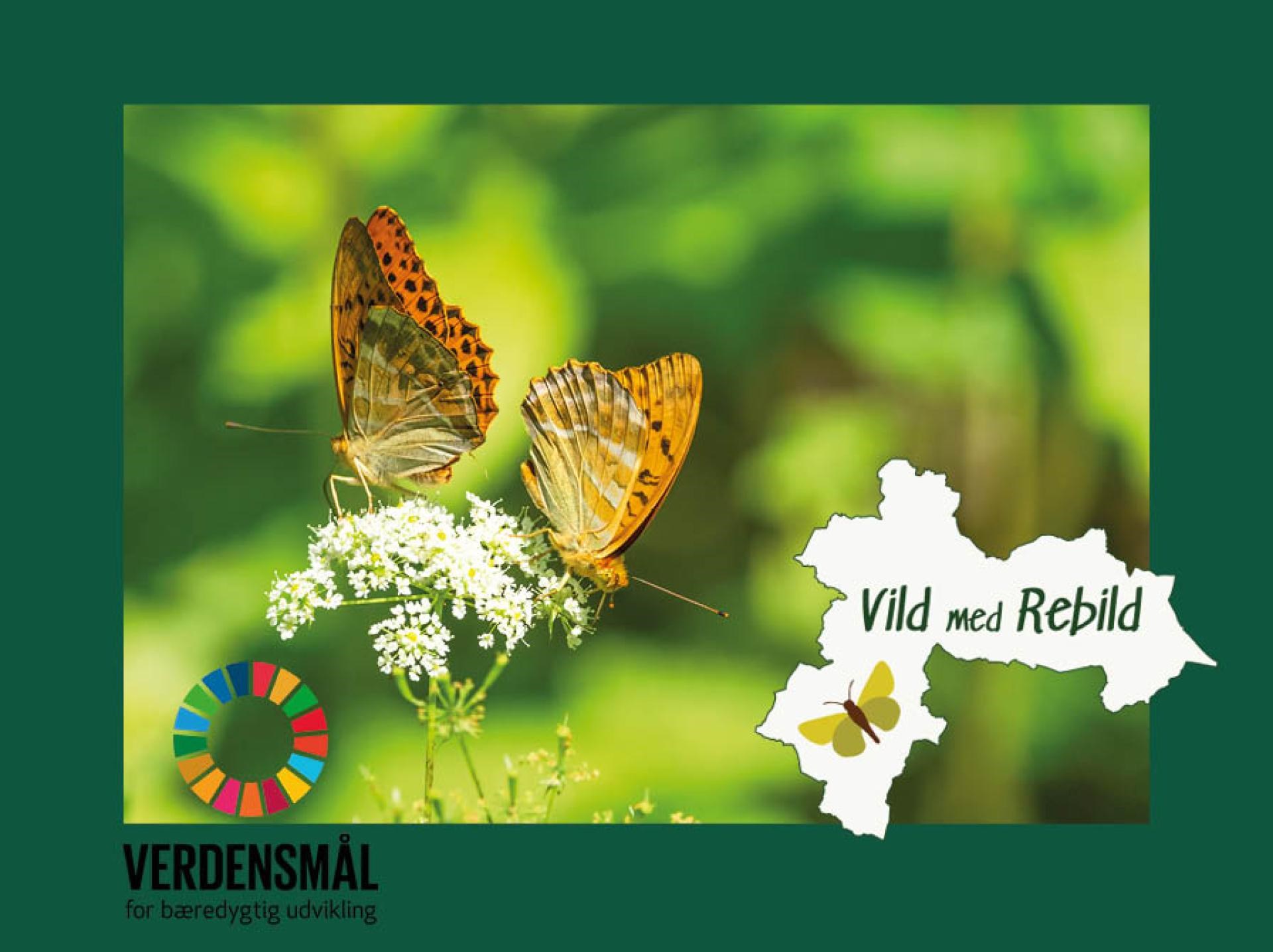 Fortælletimen med Vild med Rebild