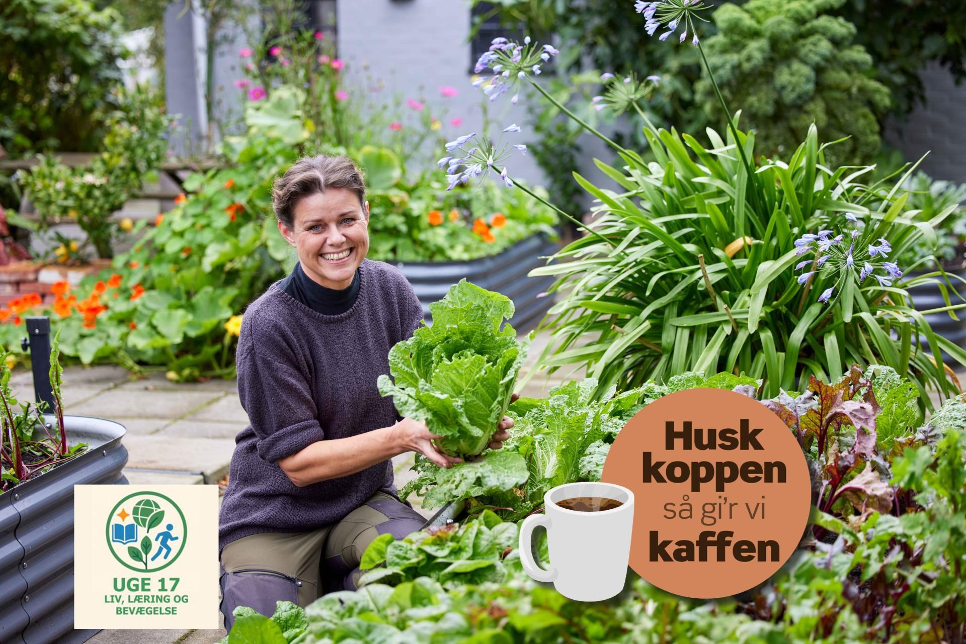 Grøntsager året rundt v/ Yen Frydensberg Egebak