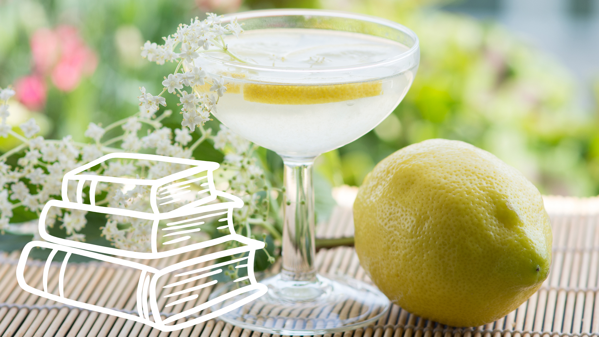 Drinks og bøger - Sommer Book Talk
