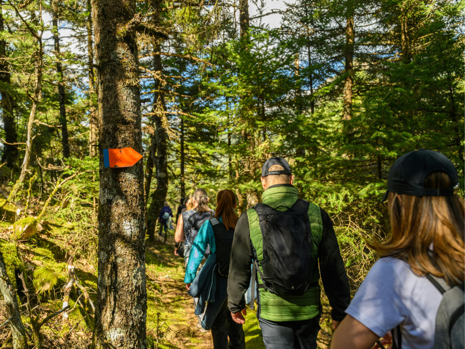 Gåklub/Hiking Club