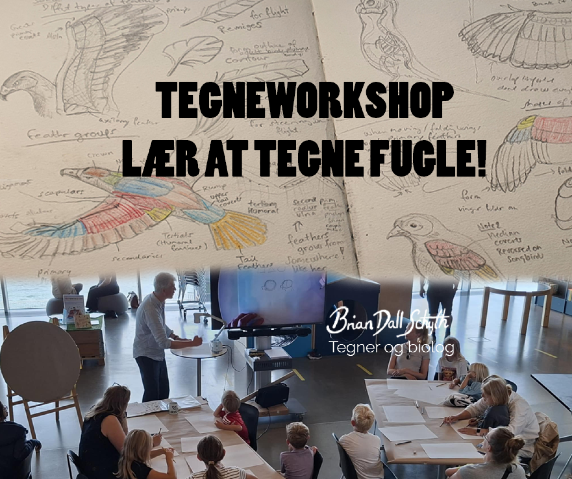 Tegneworkshop: Lær at tegne fugle