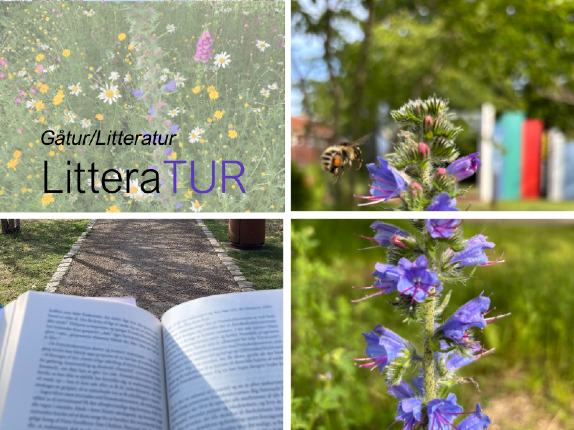 LitteraTUR