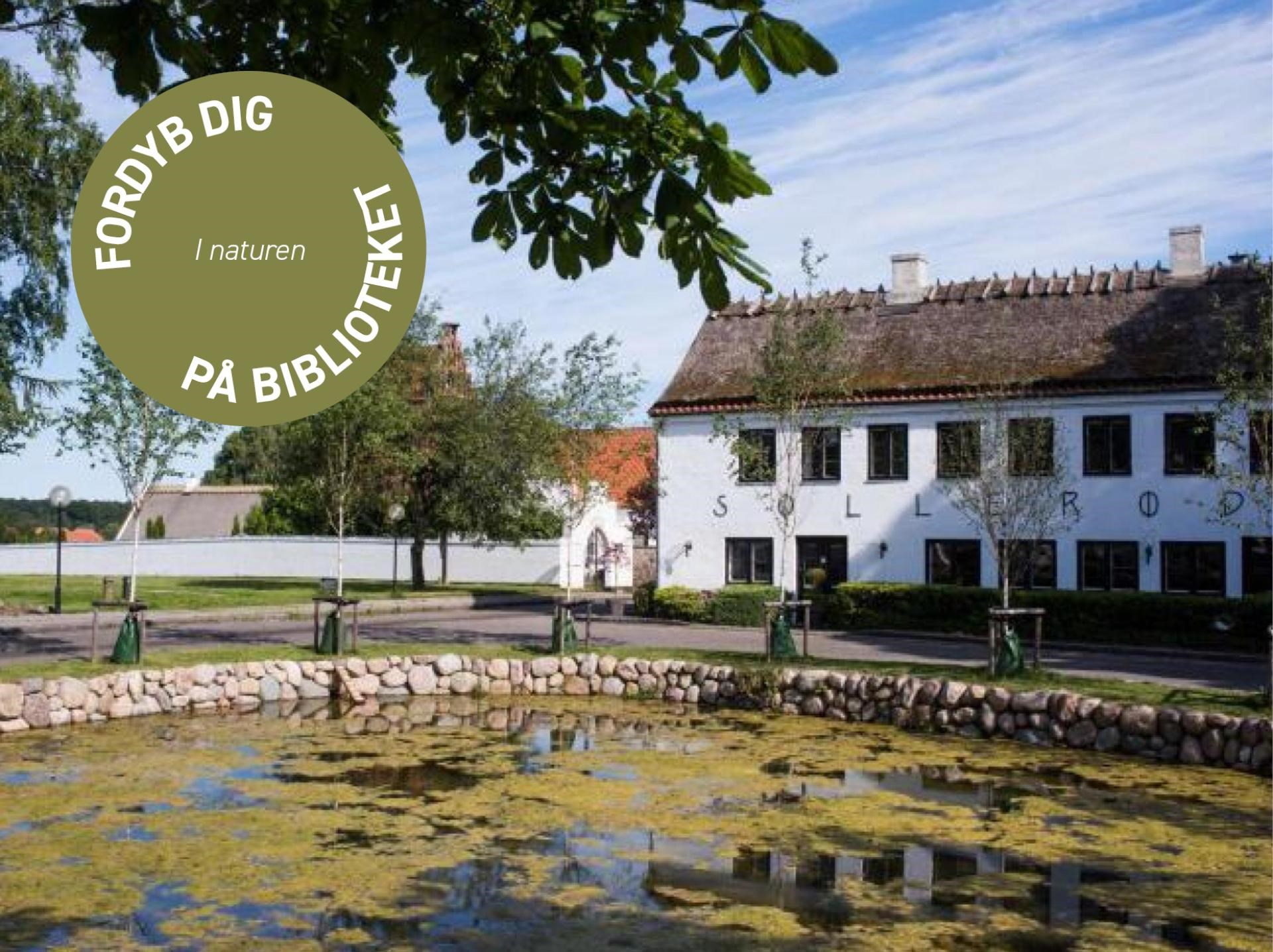 Litteraturvandring: Søllerød