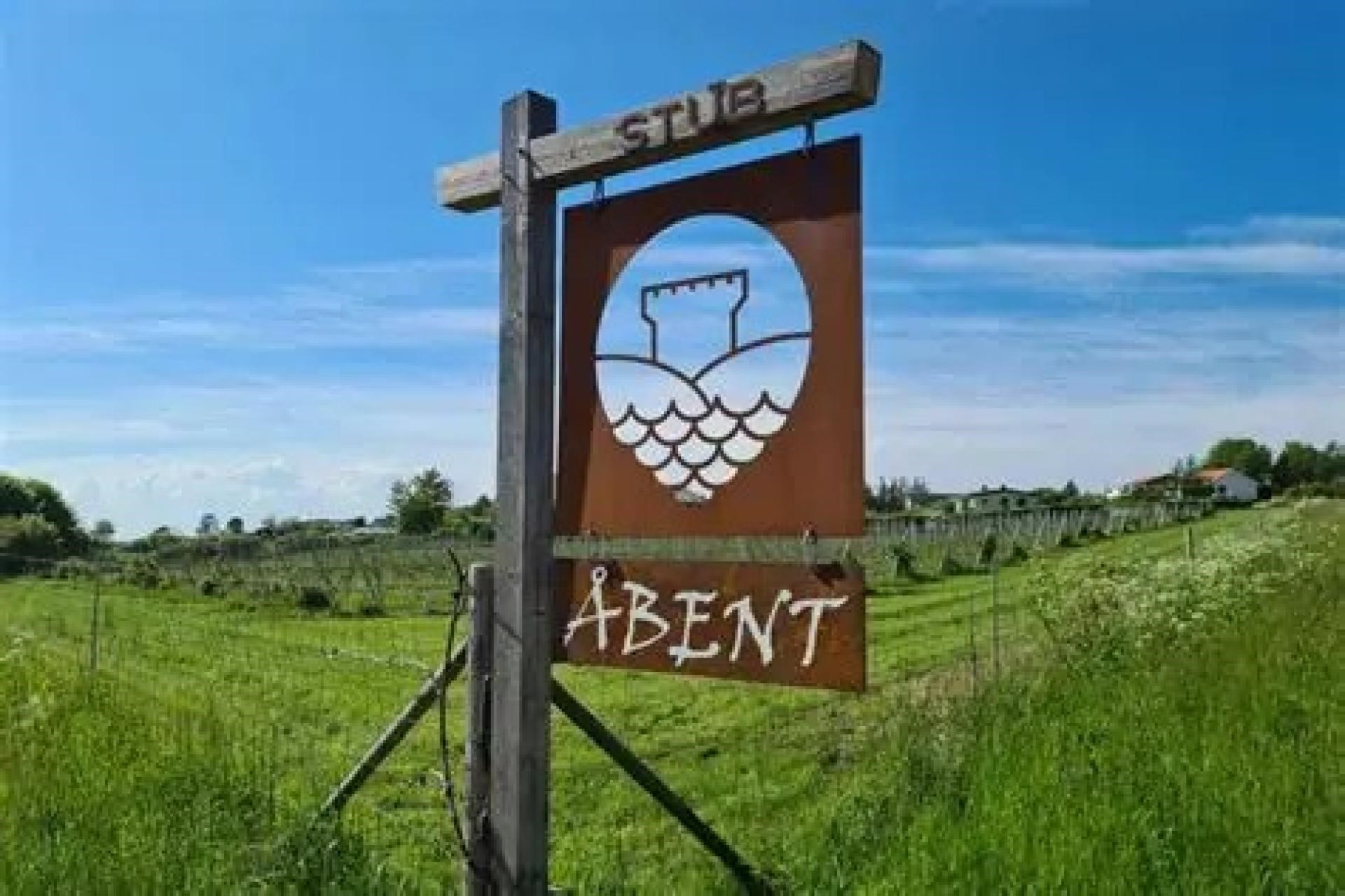 Vinsmagning og fortælling fra Stub Vingård