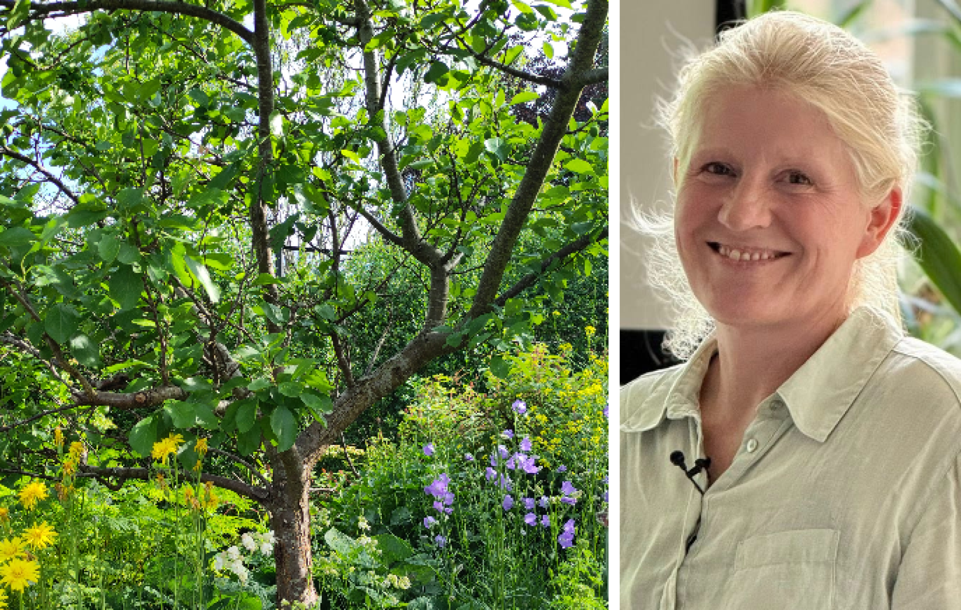 Kom til foredrag: Skab din egen permakultur i haven