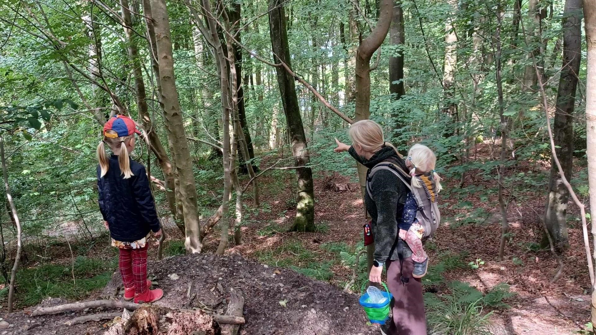 Alt du skal vide om hjemmepasning