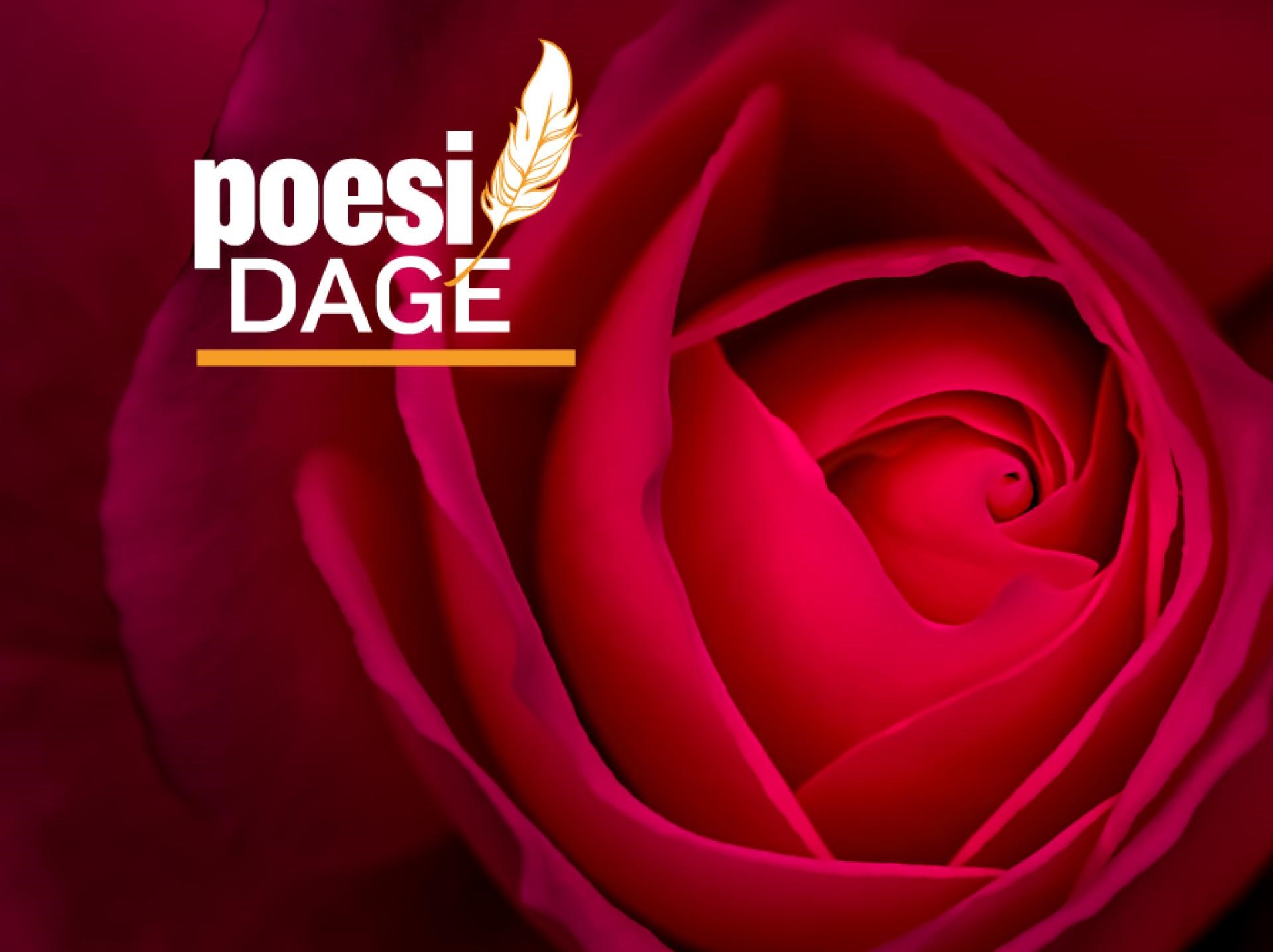 Afsløring af "Huldas rose" - en poetisk hyldest