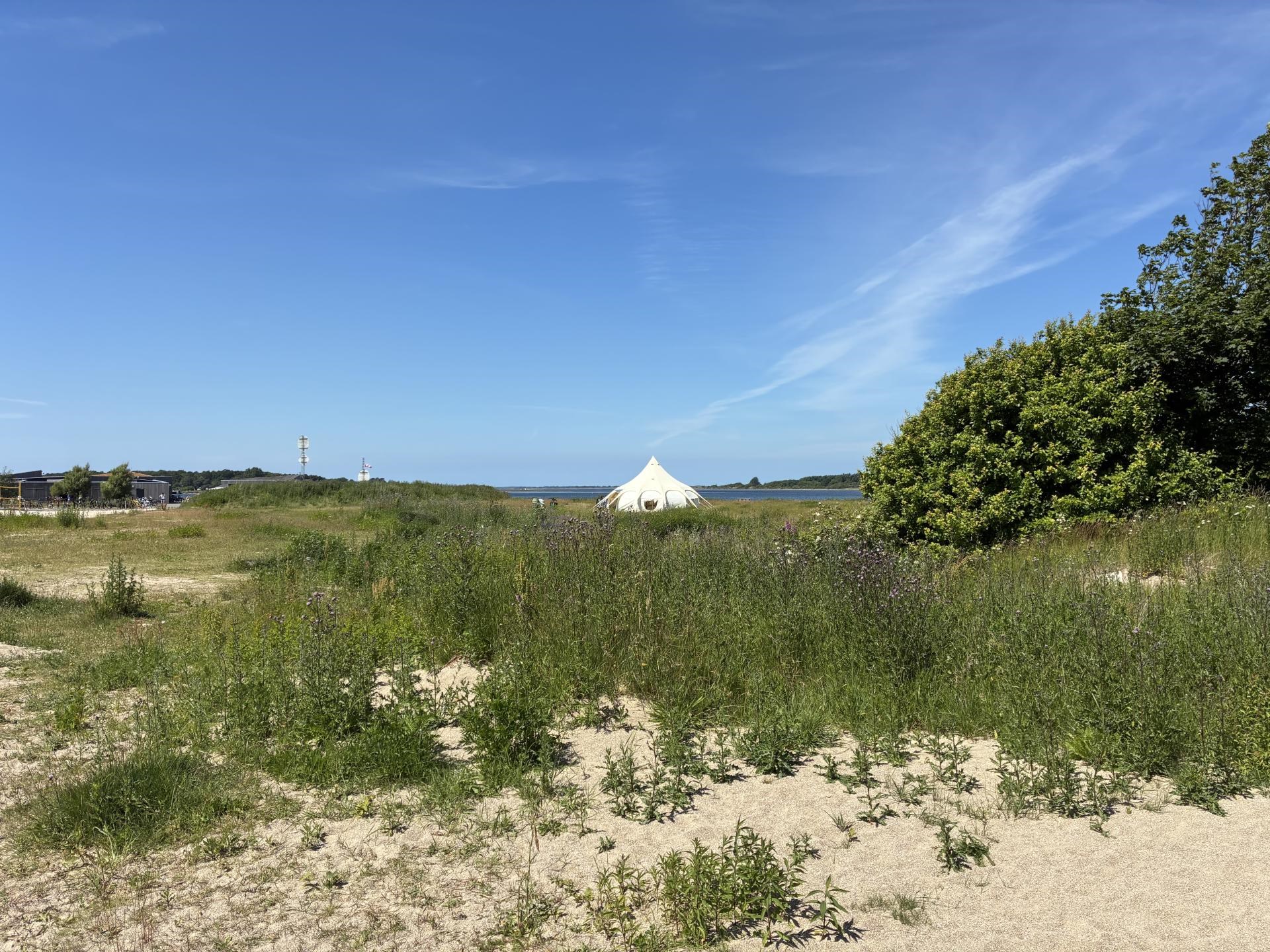 Kom til morgenfest i Det store lotustelt i Fjordparken!